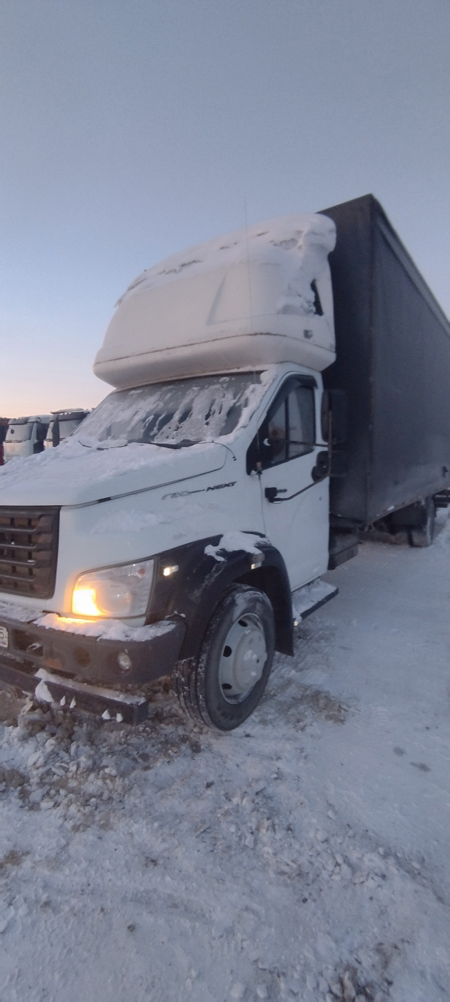 GAZ GAZON NEXT Бортовой (Евроборт) 2019 г. - фото 2