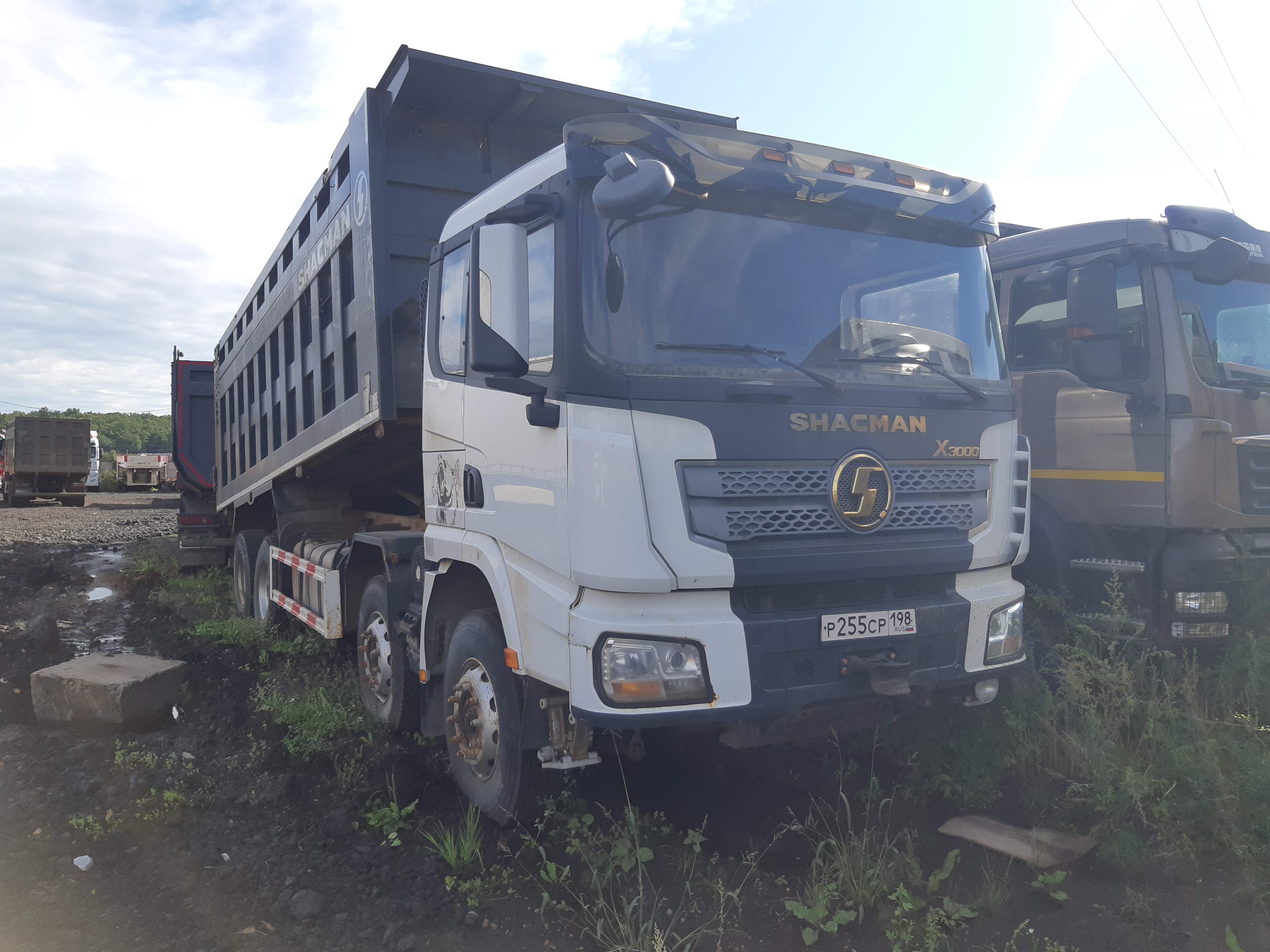 Shacman (Shaanxi) SX* 8x4 Самосвал 2022 г. - фото 2