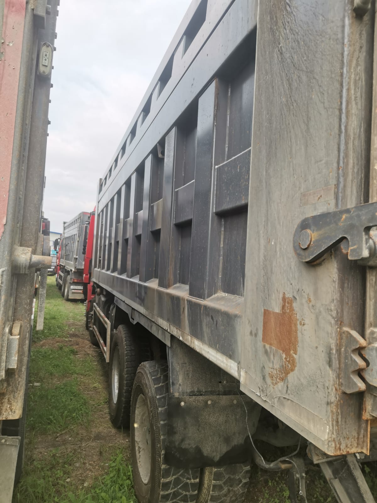 Shacman (Shaanxi) SX* 8x4 Самосвал 2022 г. - фото 6