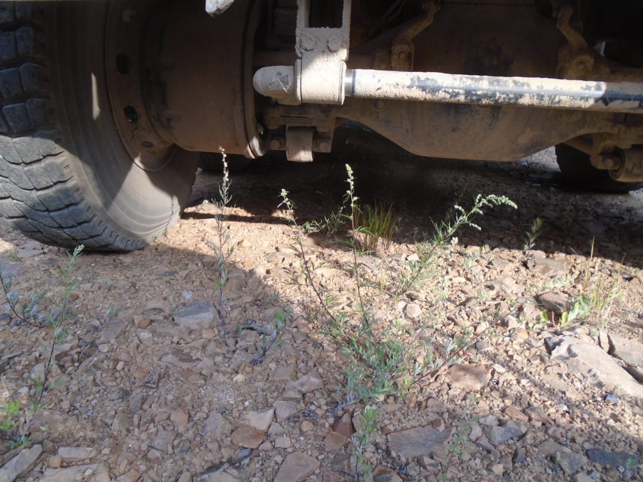 Shacman (Shaanxi) SX* 6x6 Самосвал 2023 г. - фото 11