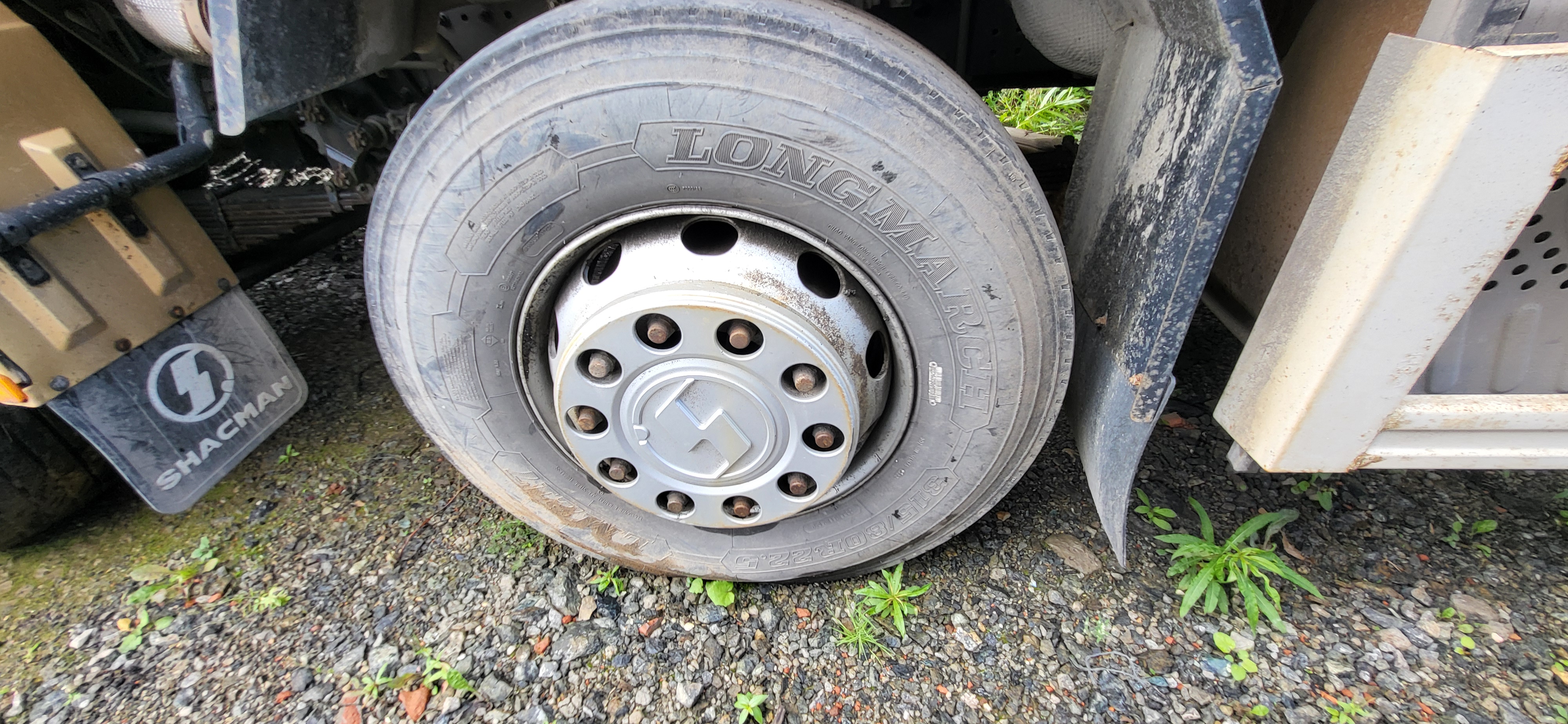 Shacman (Shaanxi) SX* 8x4 Самосвал 2022 г. - фото 10