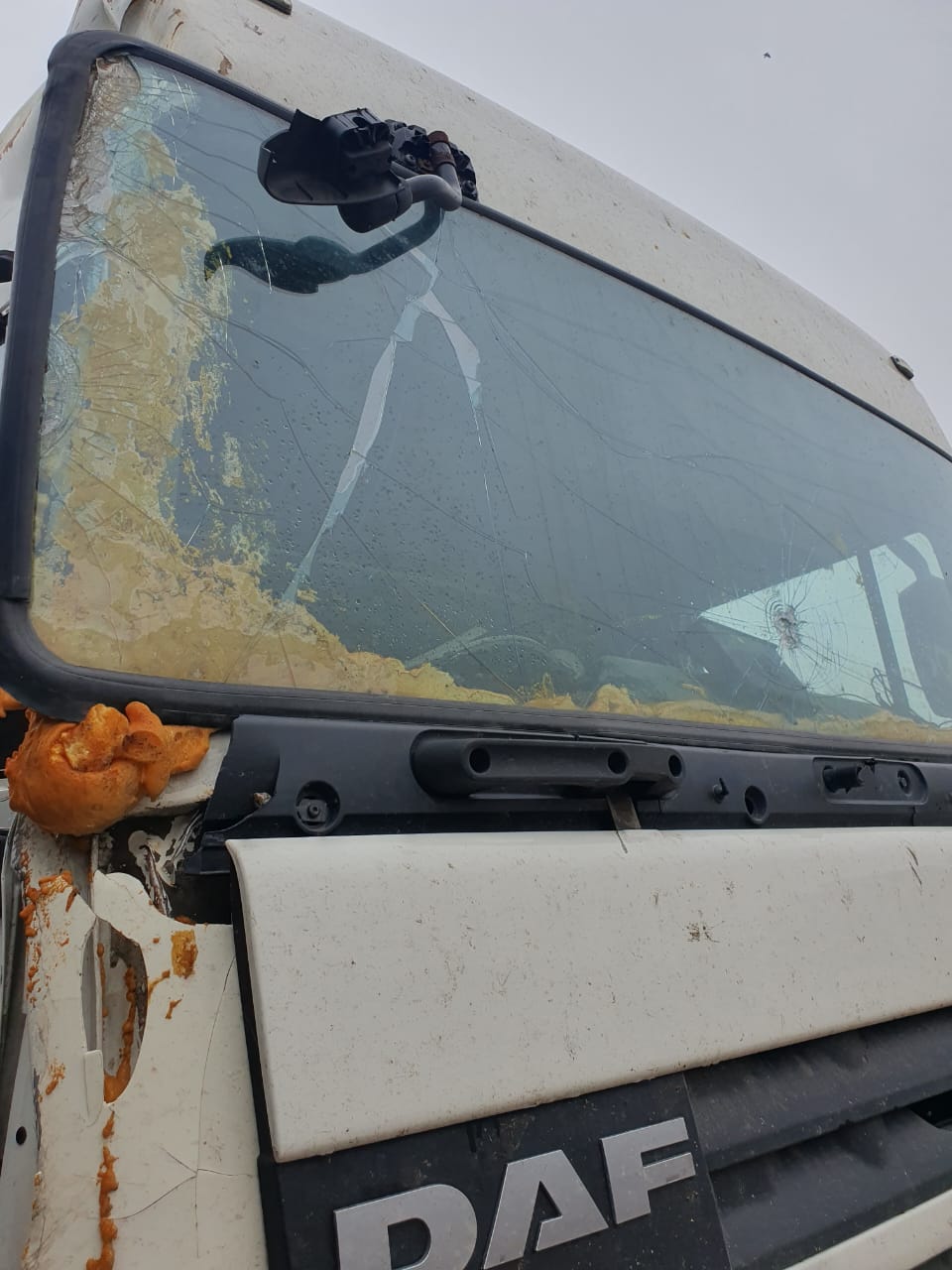 DAF XF 4x2 Седельный тягач 2020 г. - фото 6