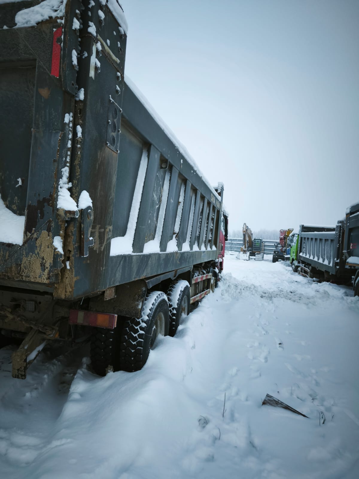 Shacman (Shaanxi) SX* 8x4 Самосвал 2023 г. - фото 7