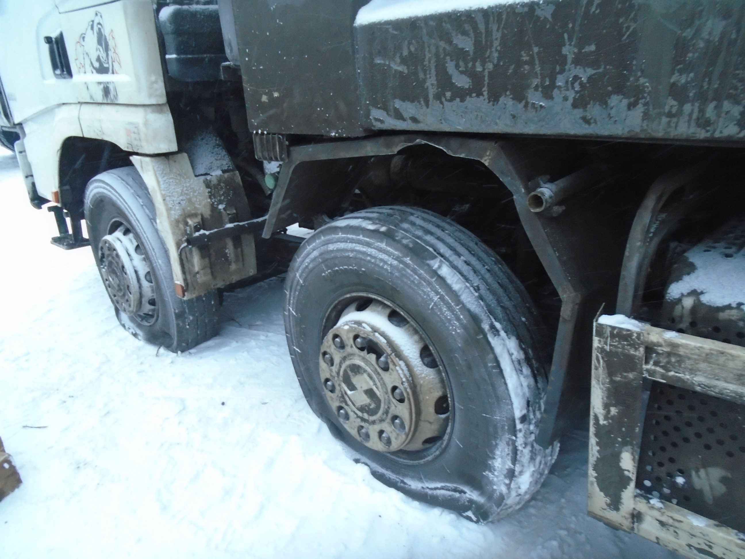 Shacman (Shaanxi) SX* 8x4 Самосвал 2022 г. - фото 10