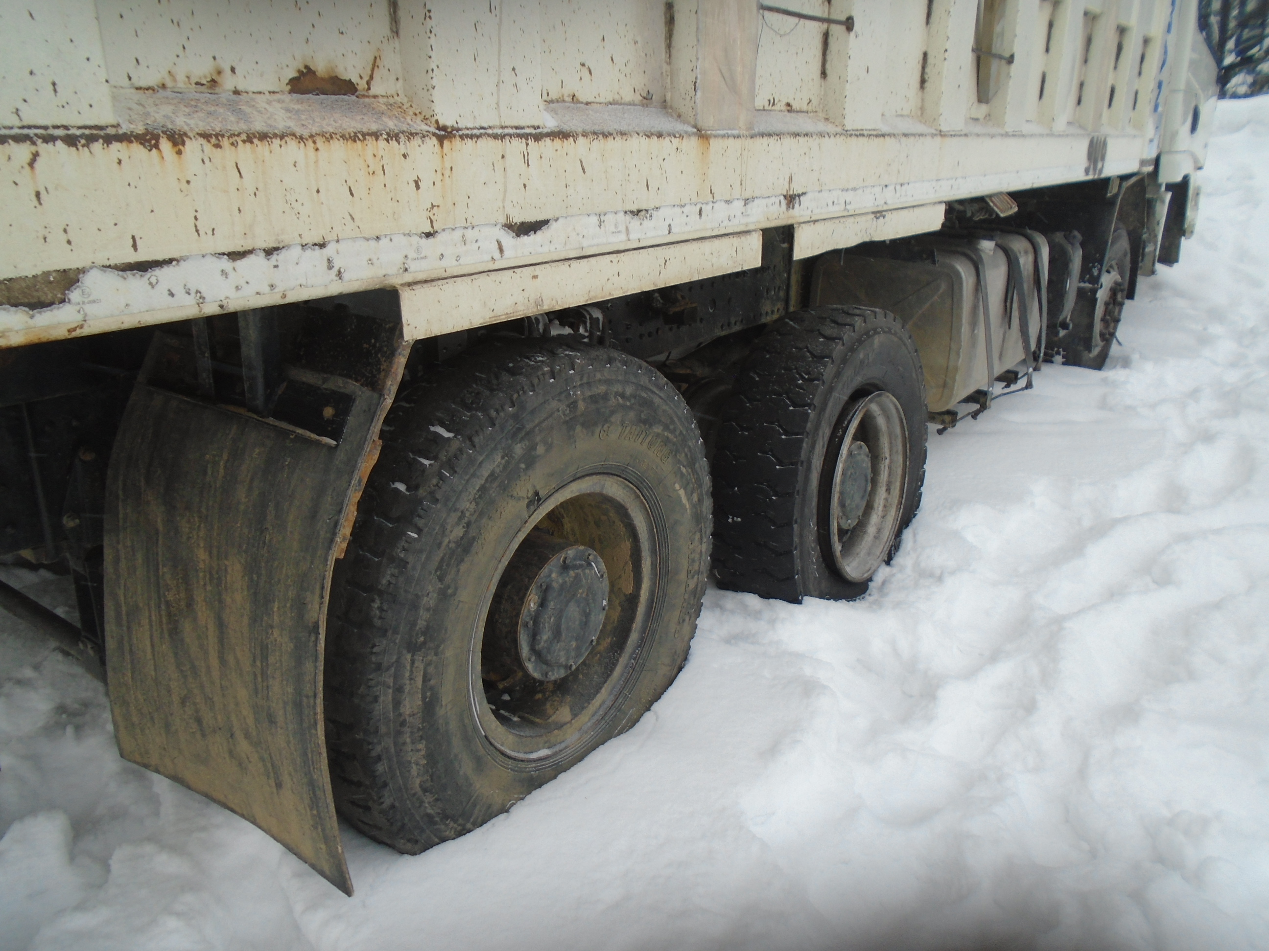 Shacman (Shaanxi) SX* 8x4 Самосвал 2019 г. - фото 4