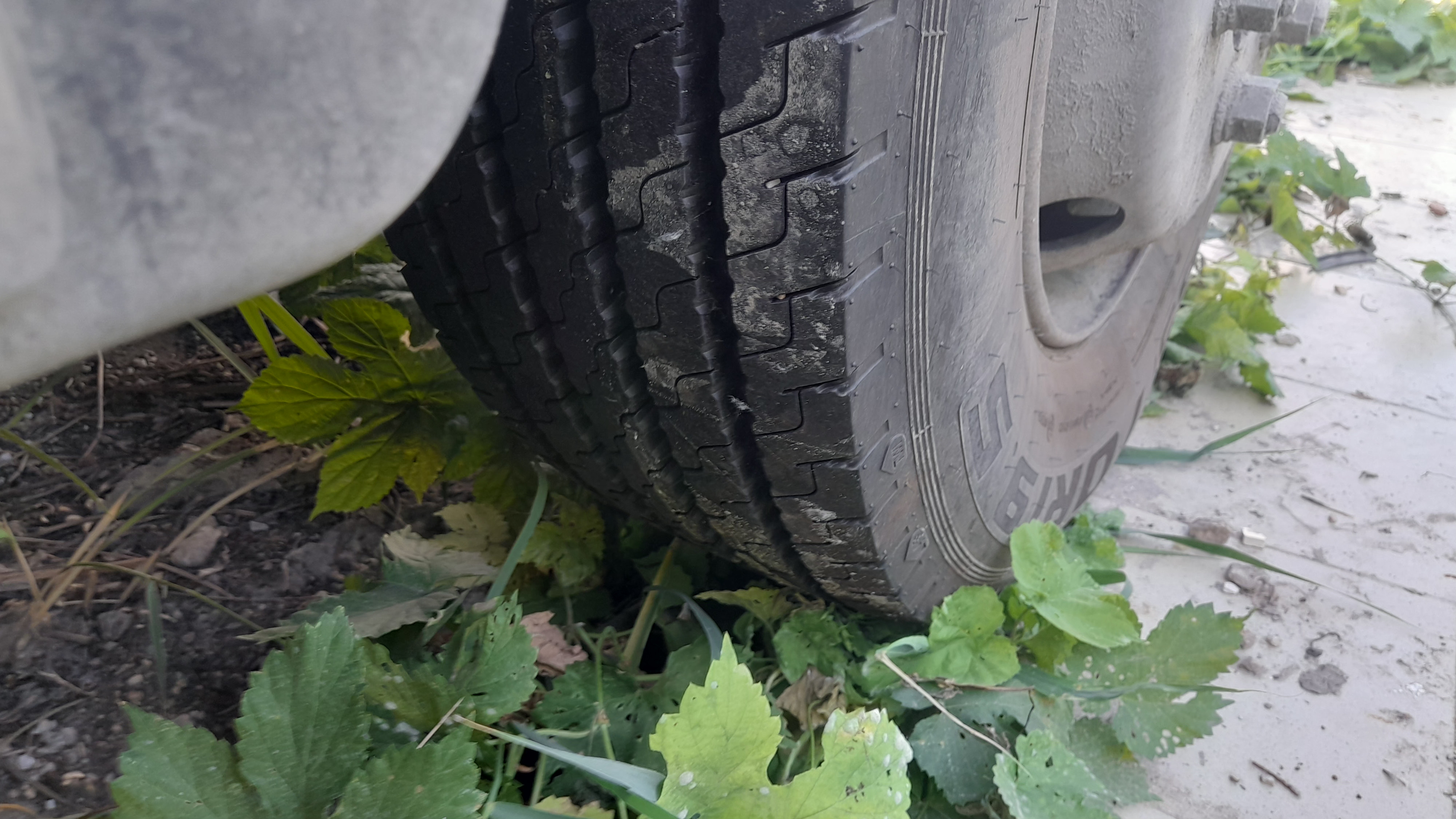 Новый завод 3010* на шасси GAZ GAZON NEXT Изотермический/рефрижератор_не актуально 2023 г. - фото 3