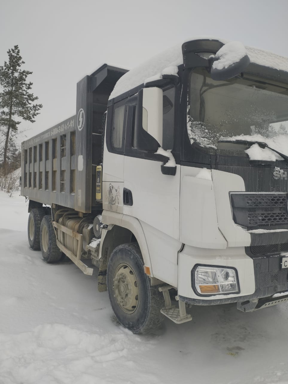 Shacman (Shaanxi) SX* 6x4 Самосвал 2022 г. - фото 3
