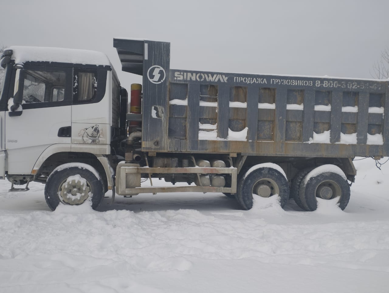 Shacman (Shaanxi) SX* 6x4 Самосвал 2022 г. - фото 4
