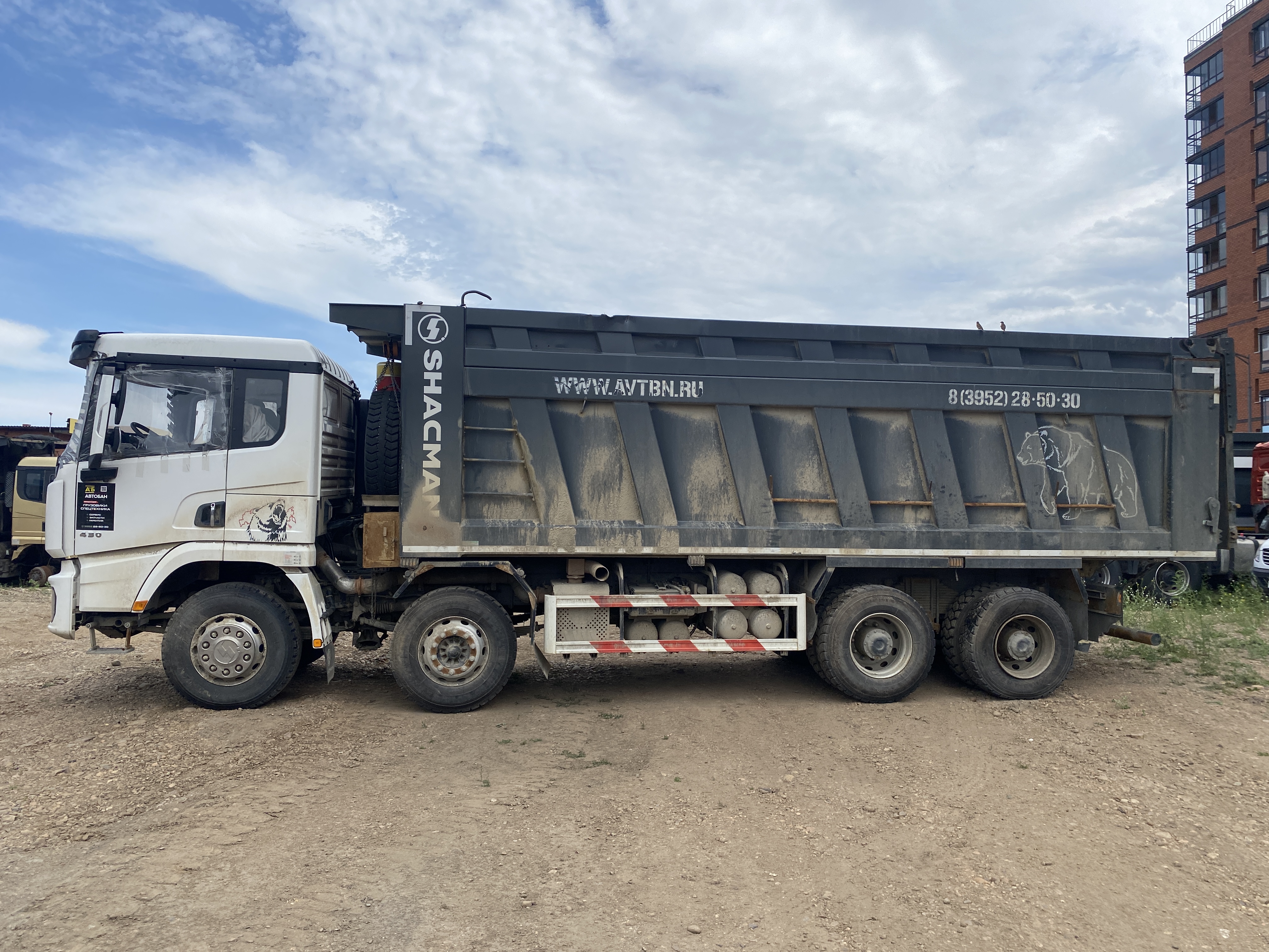 Shacman (Shaanxi) SX* 8x4 Самосвал 2024 г. - фото 5