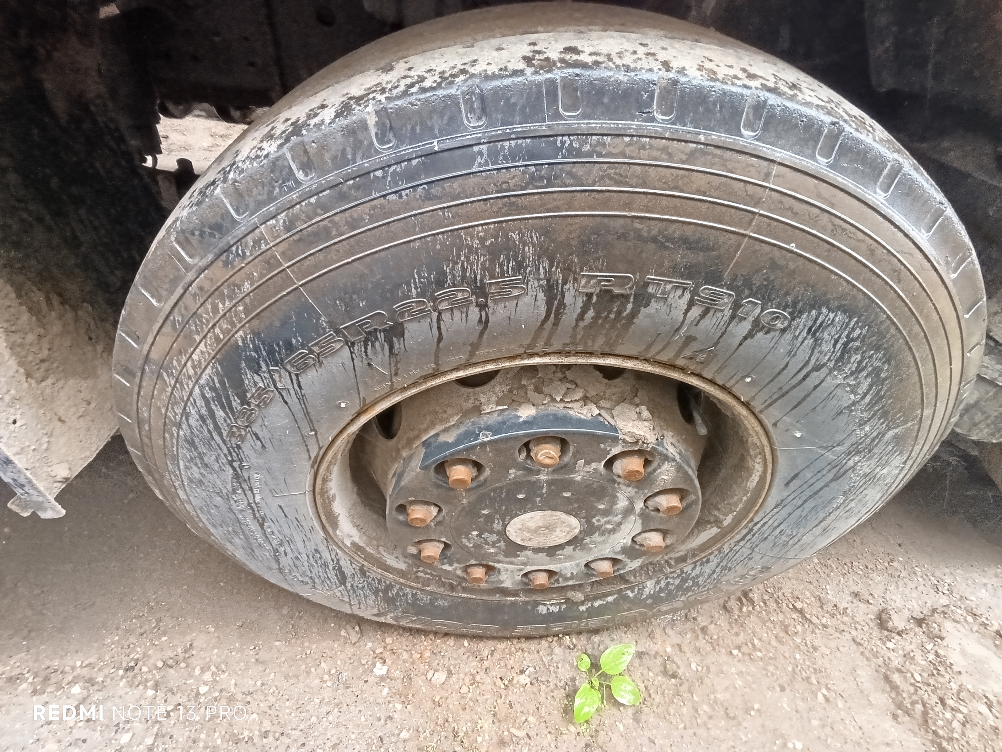 Shacman (Shaanxi) SX* 8x4 Самосвал 2023 г. - фото 16