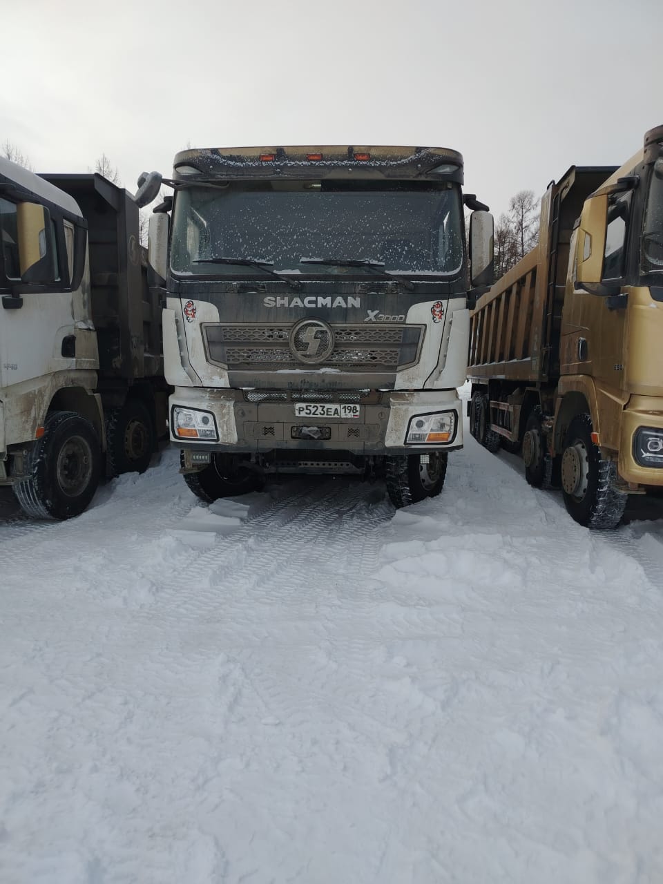 Shacman (Shaanxi) SX* 8x4 Самосвал 2022 г.