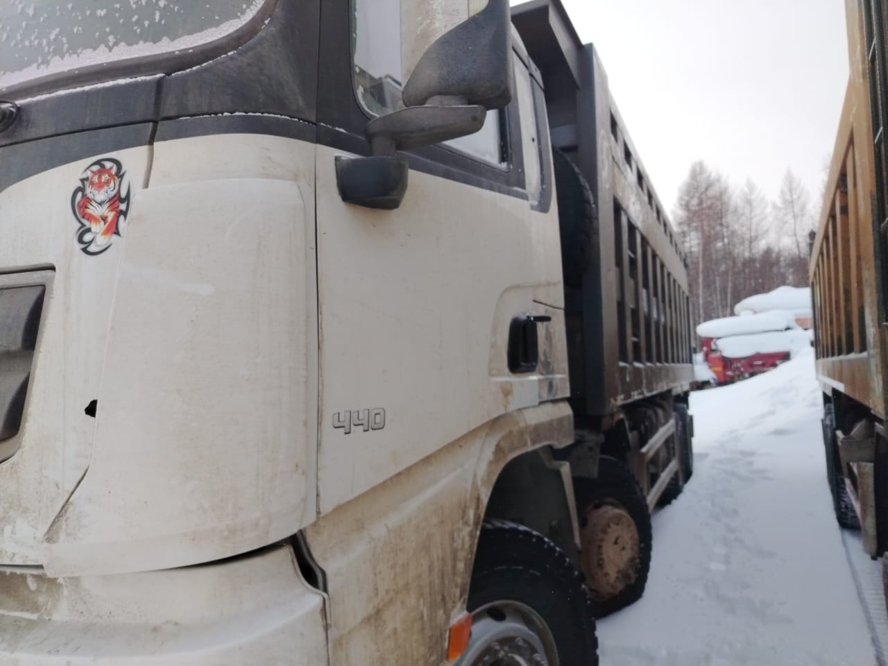 Shacman (Shaanxi) SX* 8x4 Самосвал 2022 г. - фото 2