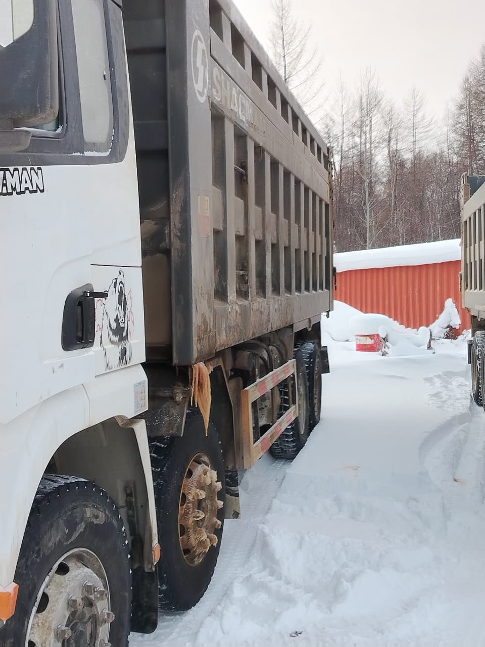 Shacman (Shaanxi) SX* 8x4 Самосвал 2022 г. - фото 2