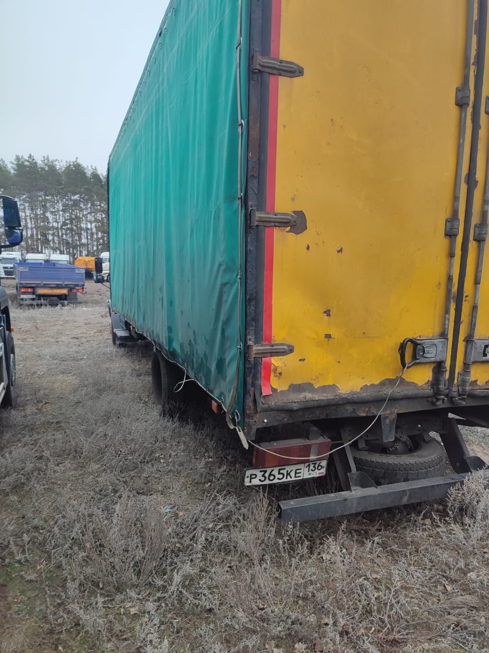 Новый завод 3010* на шасси GAZ GAZON NEXT Бортовой (Евроборт)_не актуально 2021 г. - фото 3