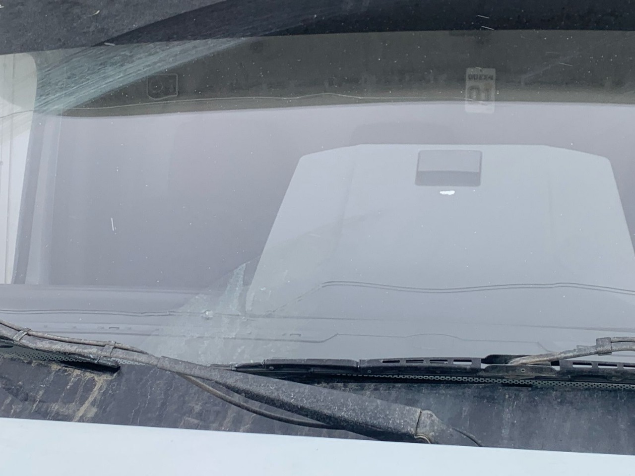 GAZ GAZON NEXT Изотермический/рефрижератор 2020 г. - фото 13