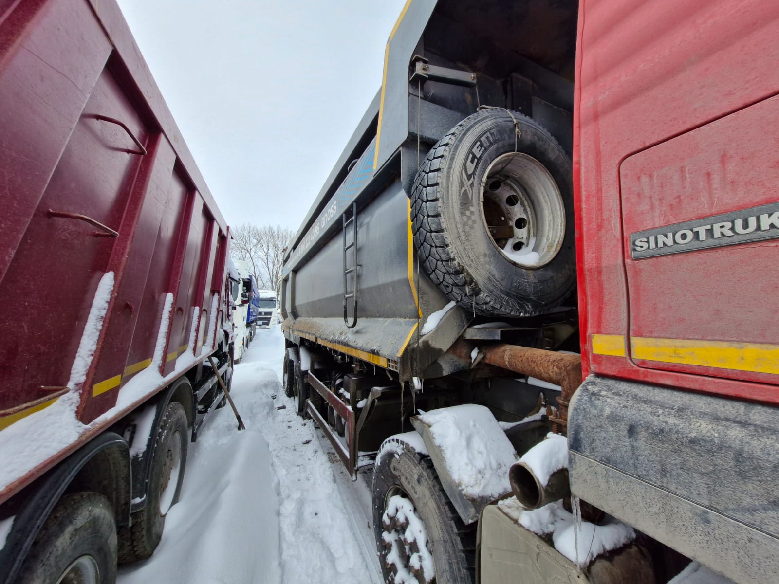 Howo T5G 8x4 Самосвал 2023 г. - фото 4