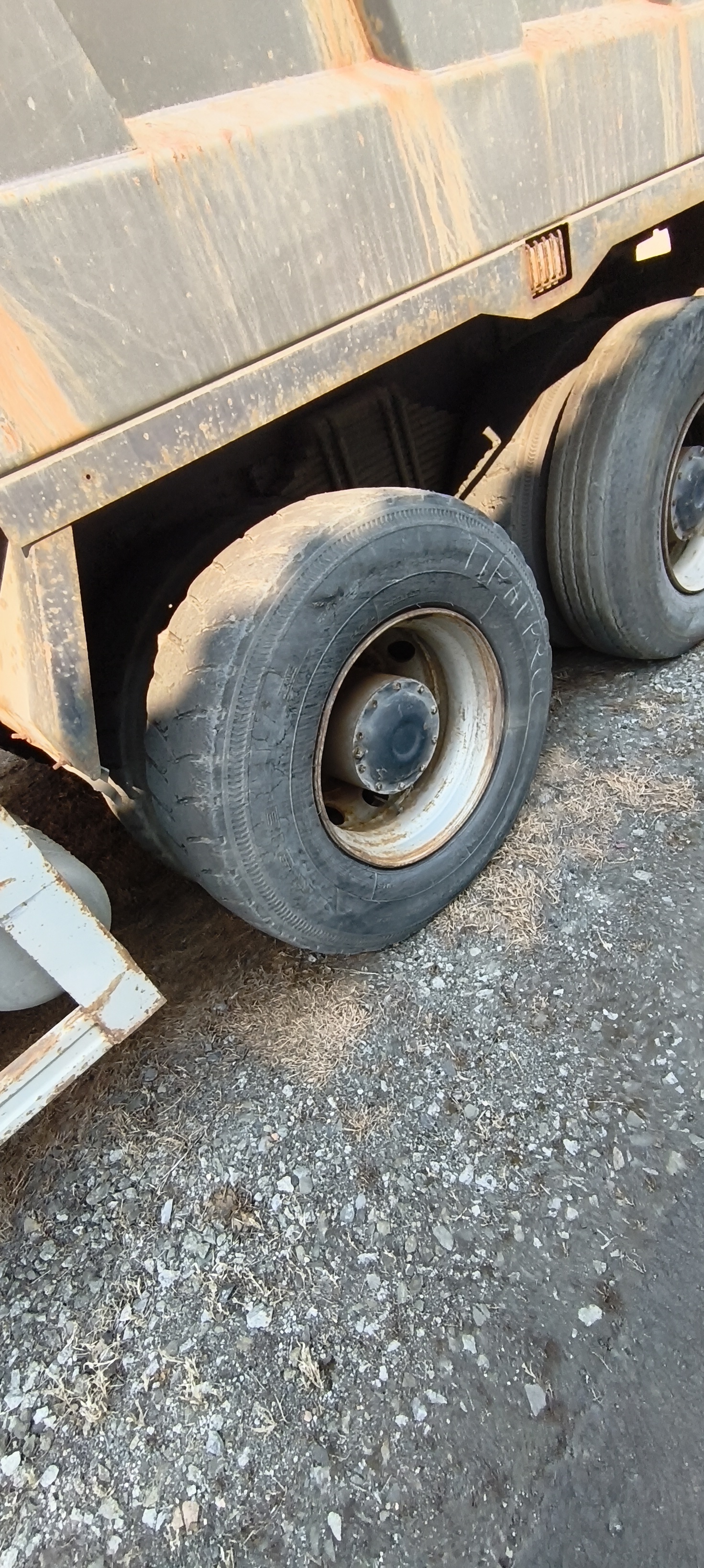 Shacman (Shaanxi) SX* 8x4 Самосвал 2023 г. - фото 13