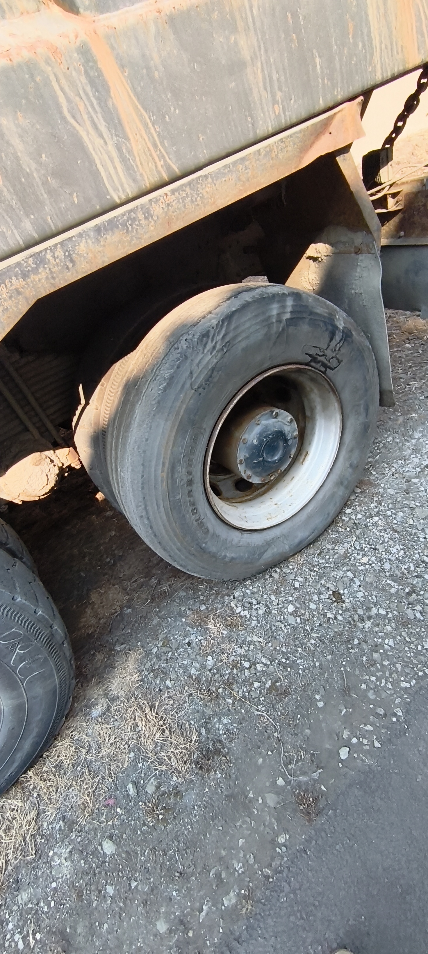 Shacman (Shaanxi) SX* 8x4 Самосвал 2023 г. - фото 14