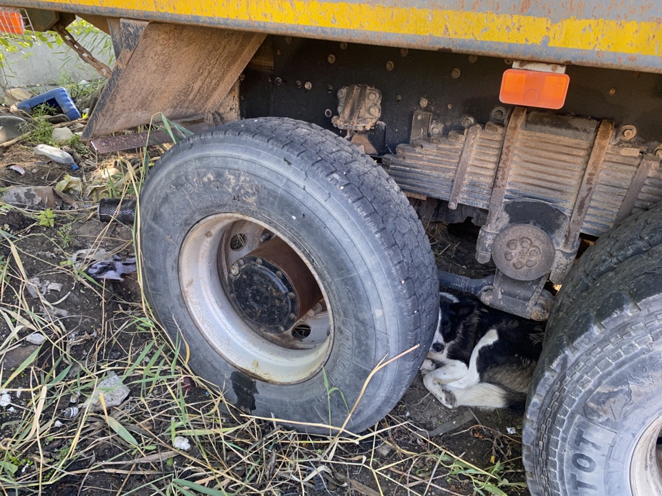 FAW J6 8x4 Самосвал 2022 г. - фото 17