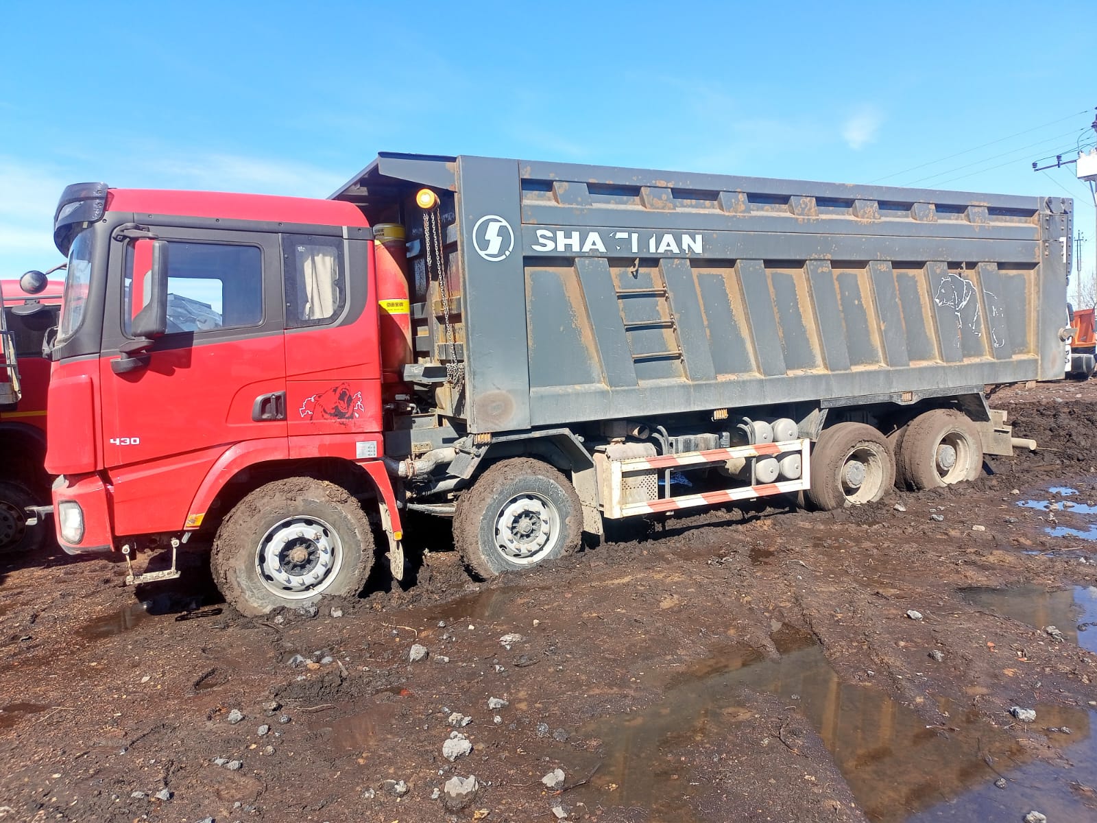 Shacman (Shaanxi) SX* 8x4 Самосвал 2023 г. - фото 2