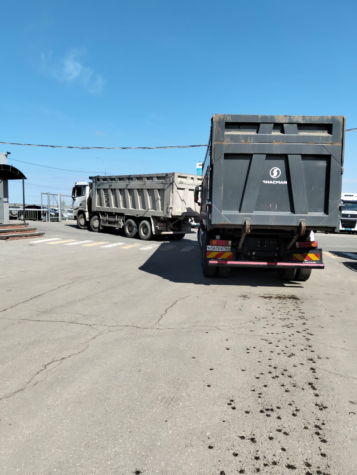 Shacman (Shaanxi) SX* 8x4 Самосвал 2023 г. - фото 6