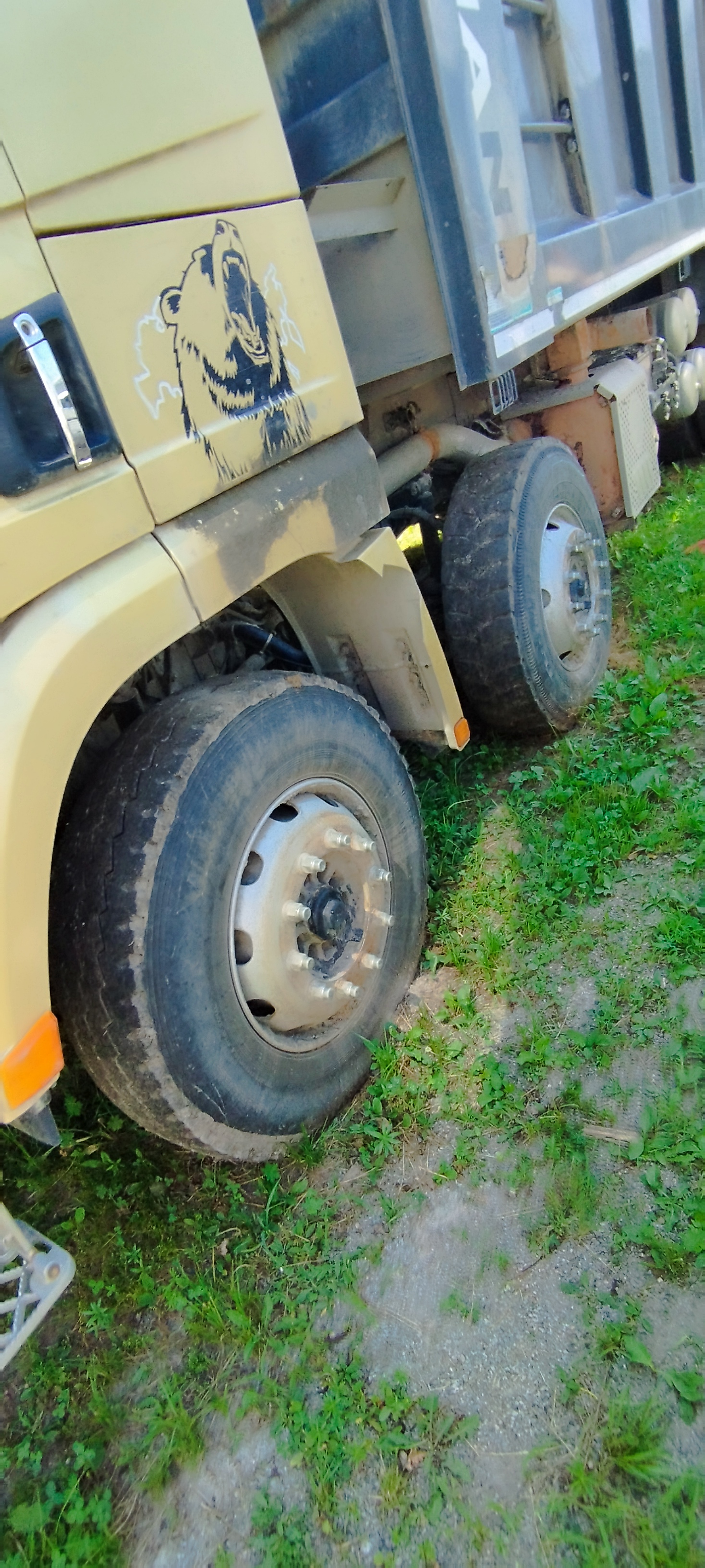 Shacman (Shaanxi) SX* 8x4 Самосвал 2024 г. - фото 4