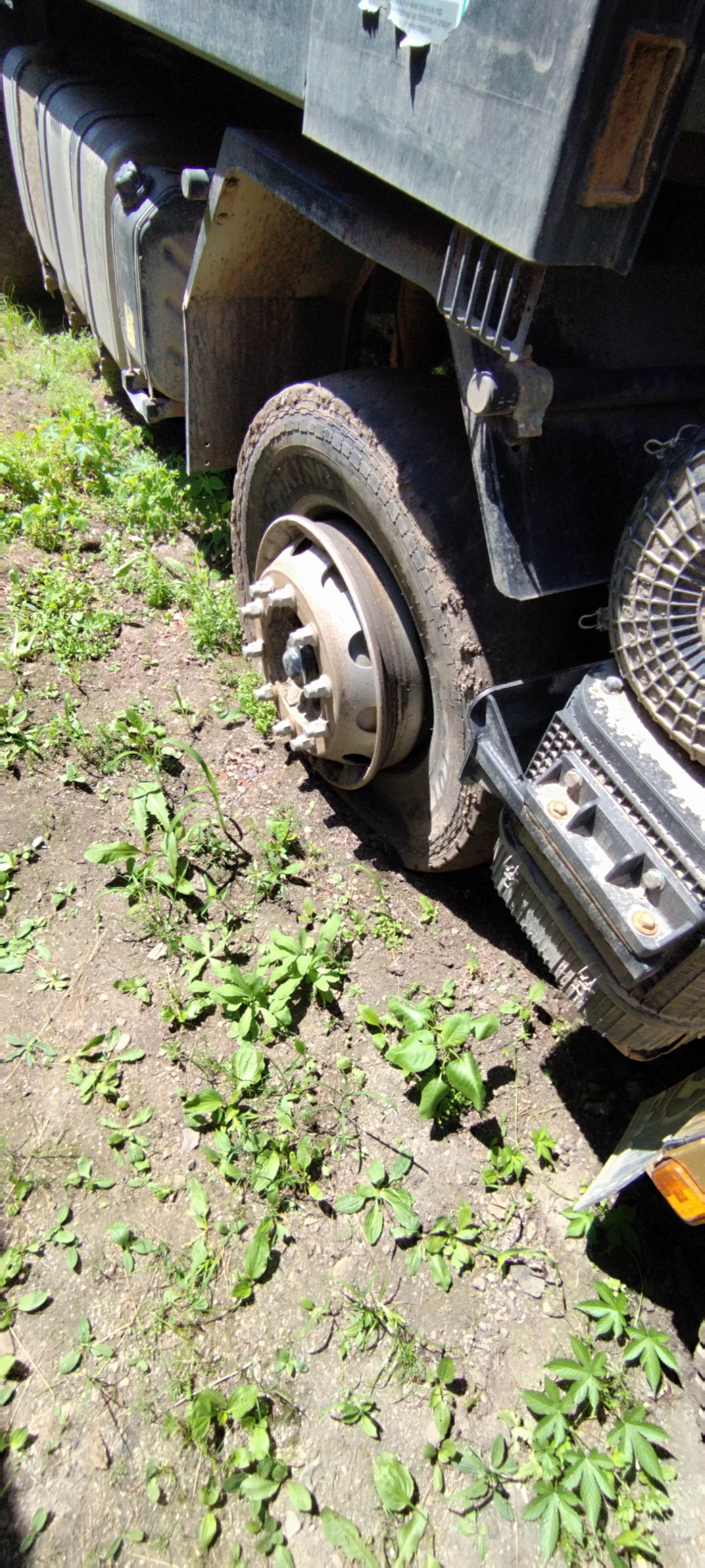 Shacman (Shaanxi) SX* 8x4 Самосвал 2024 г. - фото 10