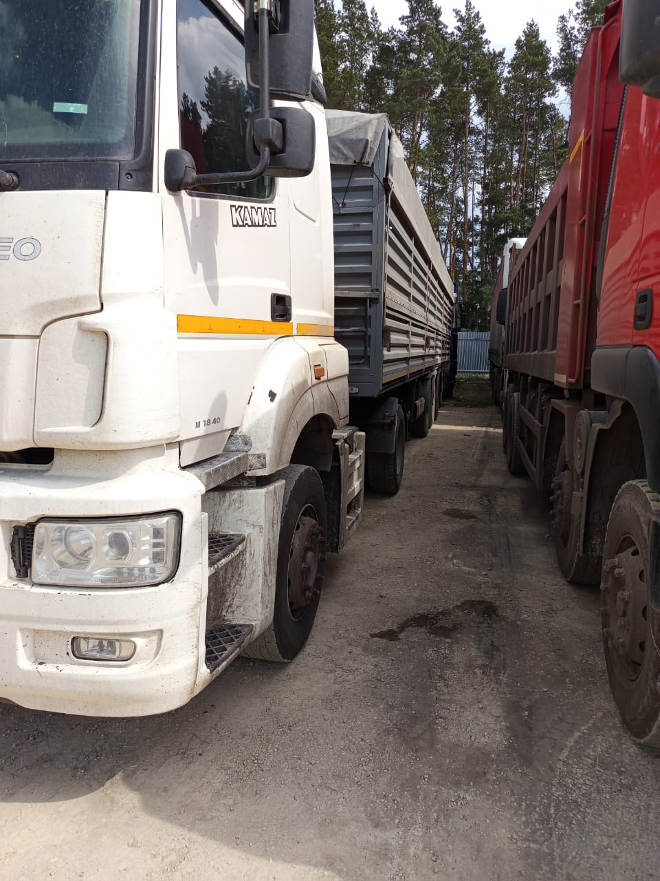 КамАЗ 5490 4x2 Седельный тягач 2018 г. - фото 3