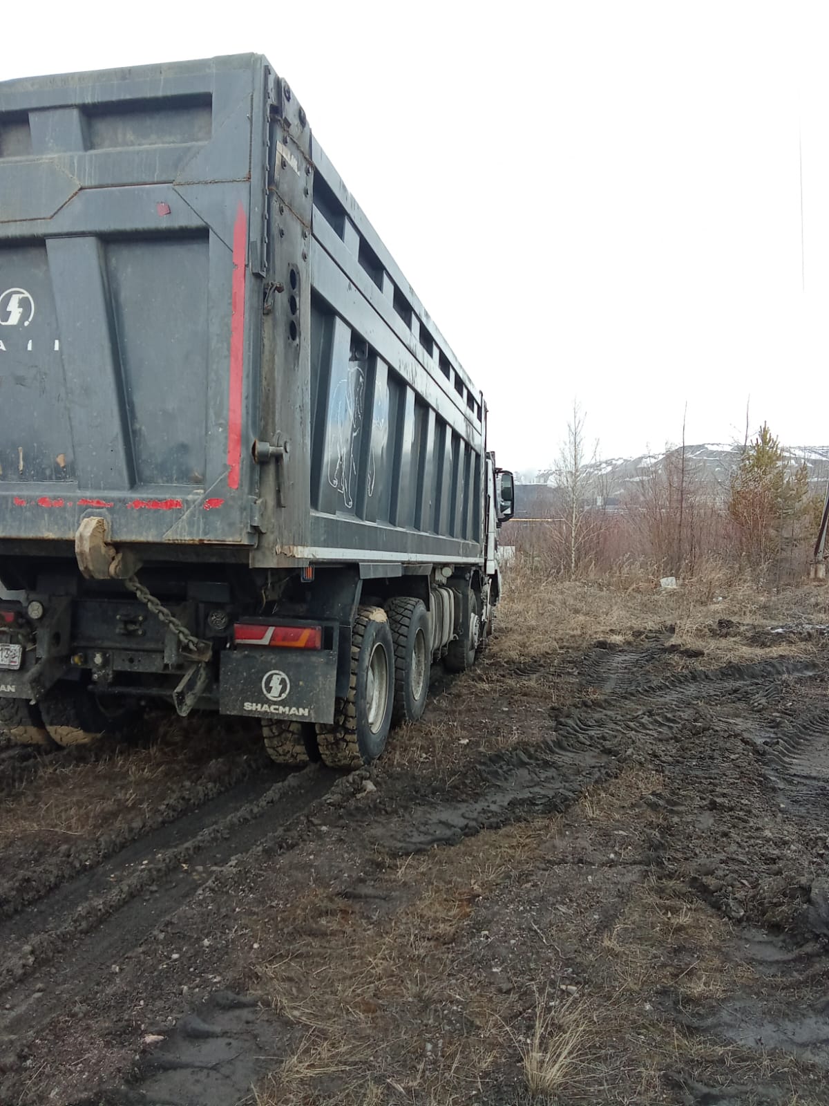 Shacman (Shaanxi) SX* 8x4 Самосвал 2024 г. - фото 7