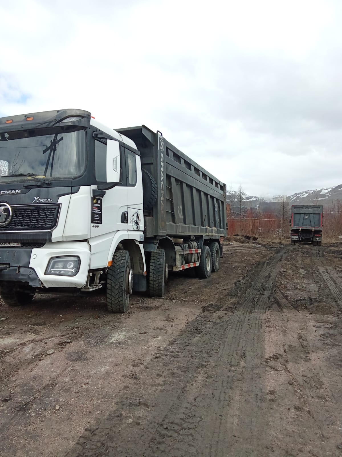 Shacman (Shaanxi) SX* 8x4 Самосвал 2024 г. - фото 6