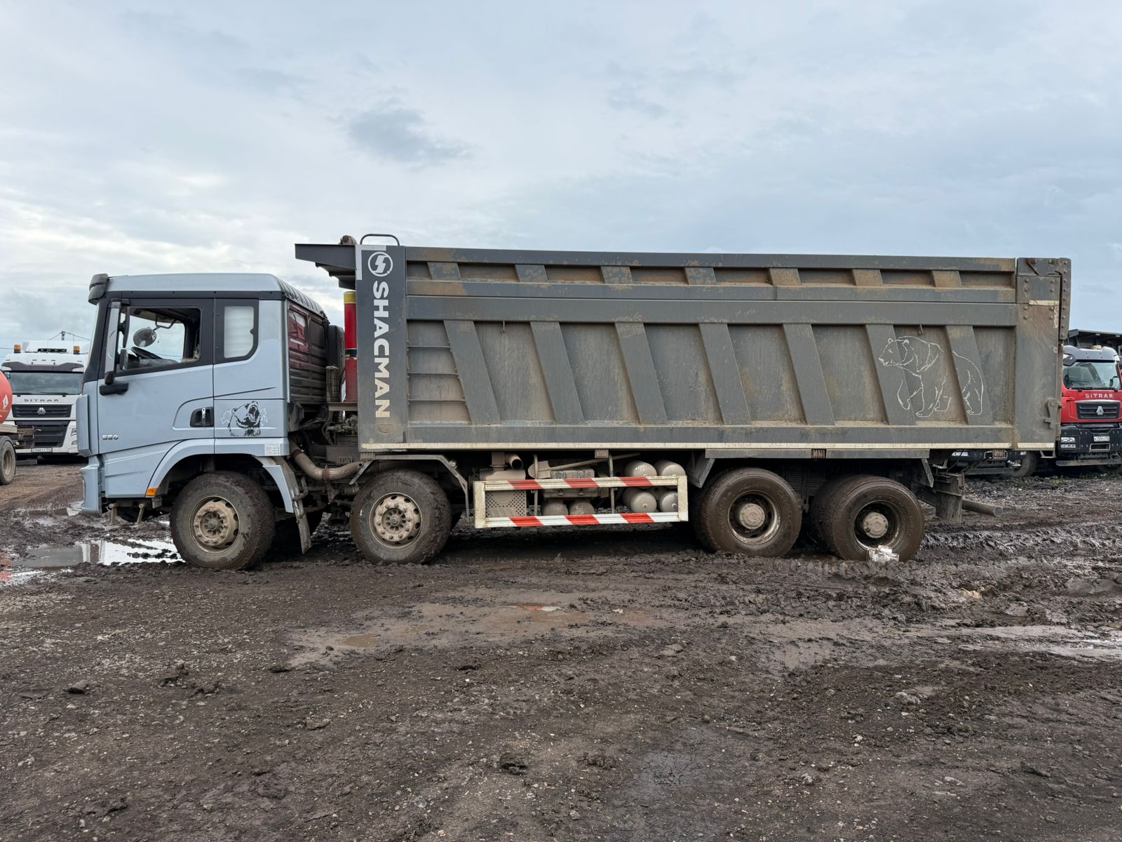 Shacman (Shaanxi) SX* 8x4 Самосвал 2023 г. - фото 2