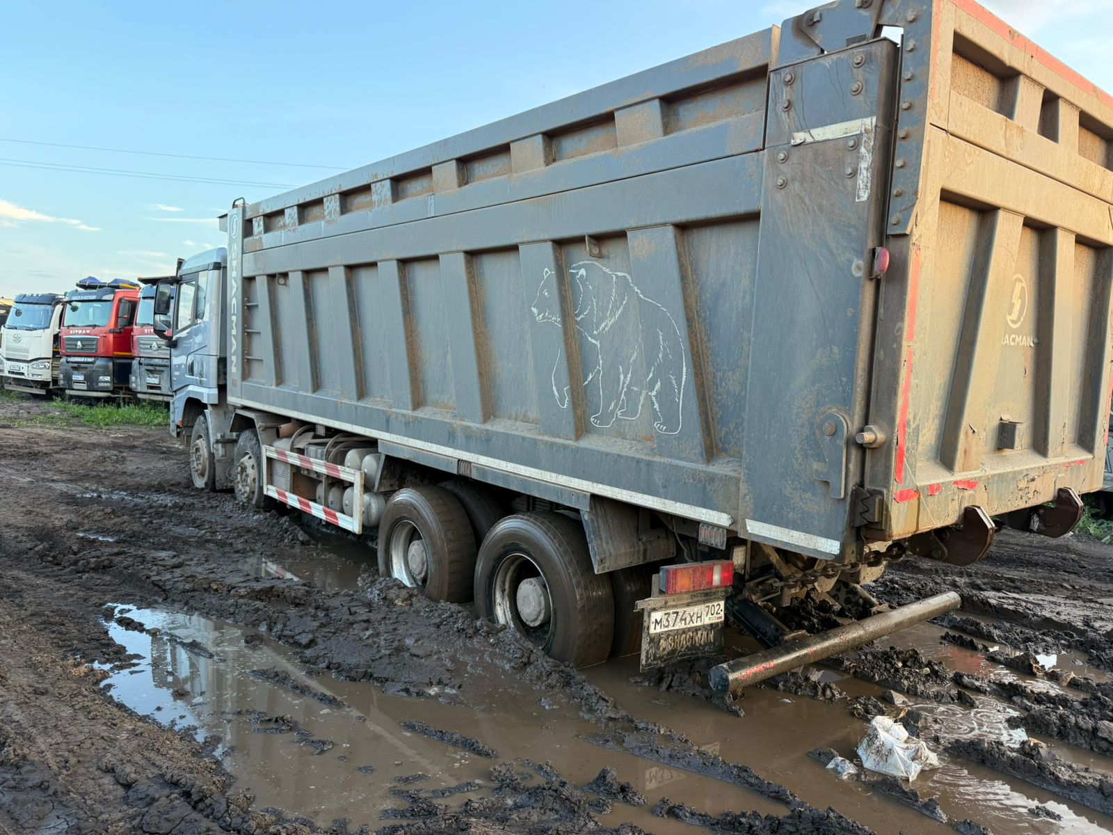 Shacman (Shaanxi) SX* 8x4 Самосвал 2023 г. - фото 4
