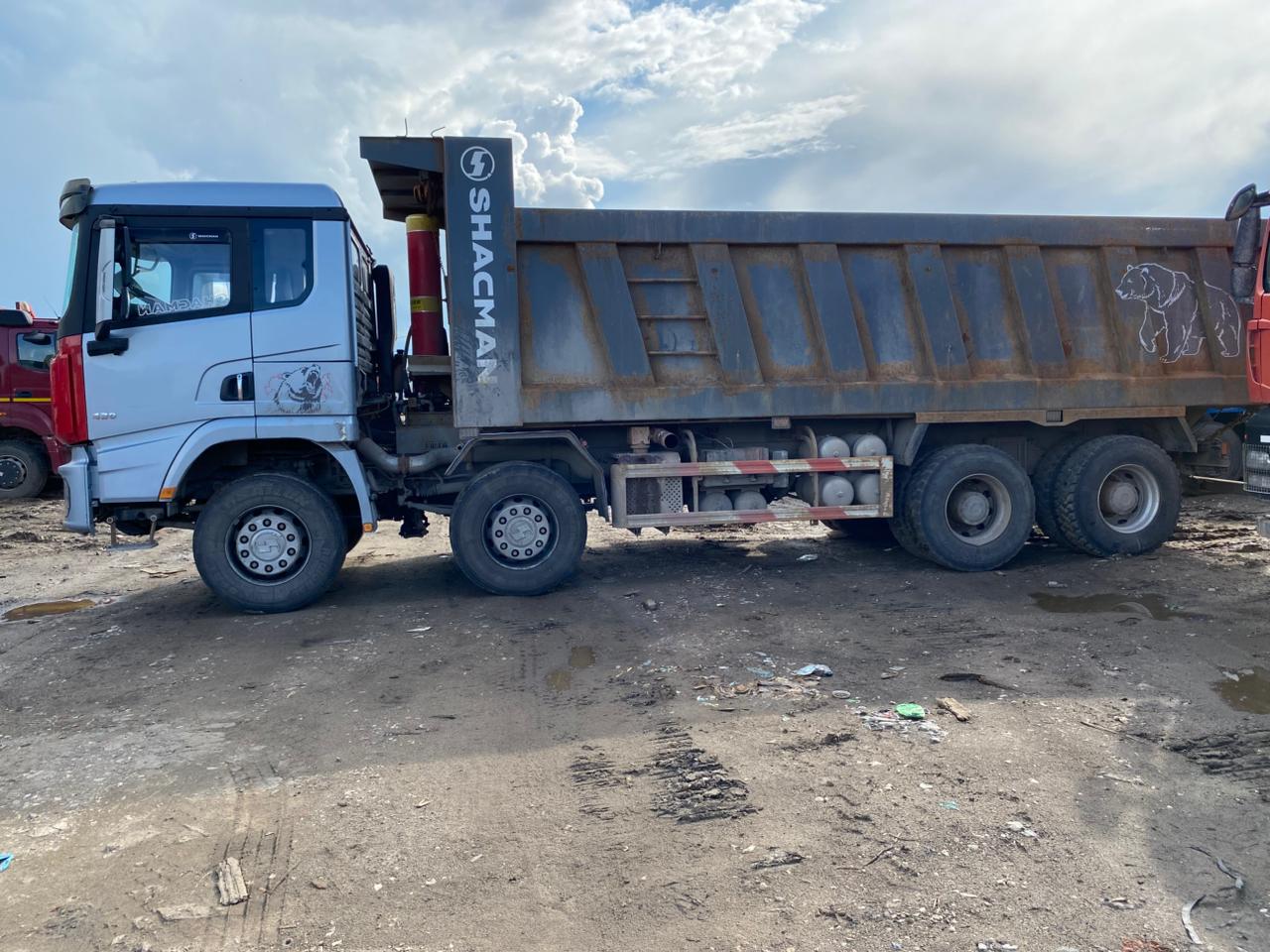 Shacman (Shaanxi) SX* 8x4 Самосвал 2023 г. - фото 4