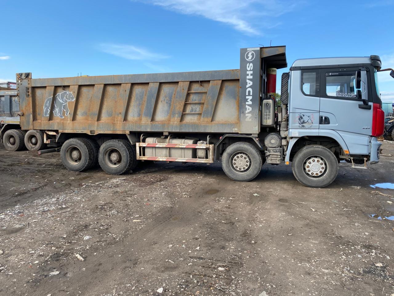 Shacman (Shaanxi) SX* 8x4 Самосвал 2023 г. - фото 5