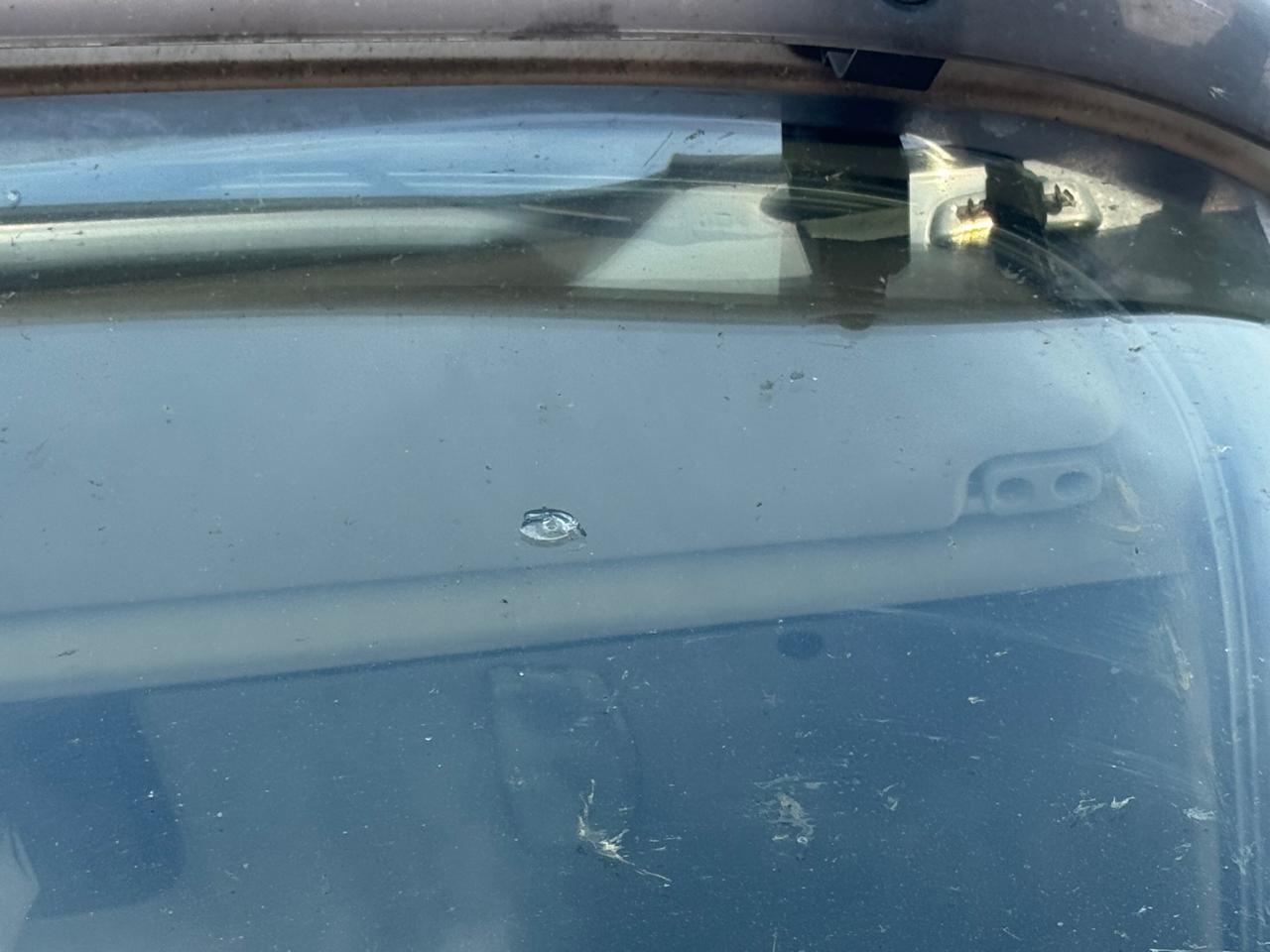 КамАЗ 54901 4x2 Седельный тягач 2022 г. - фото 13