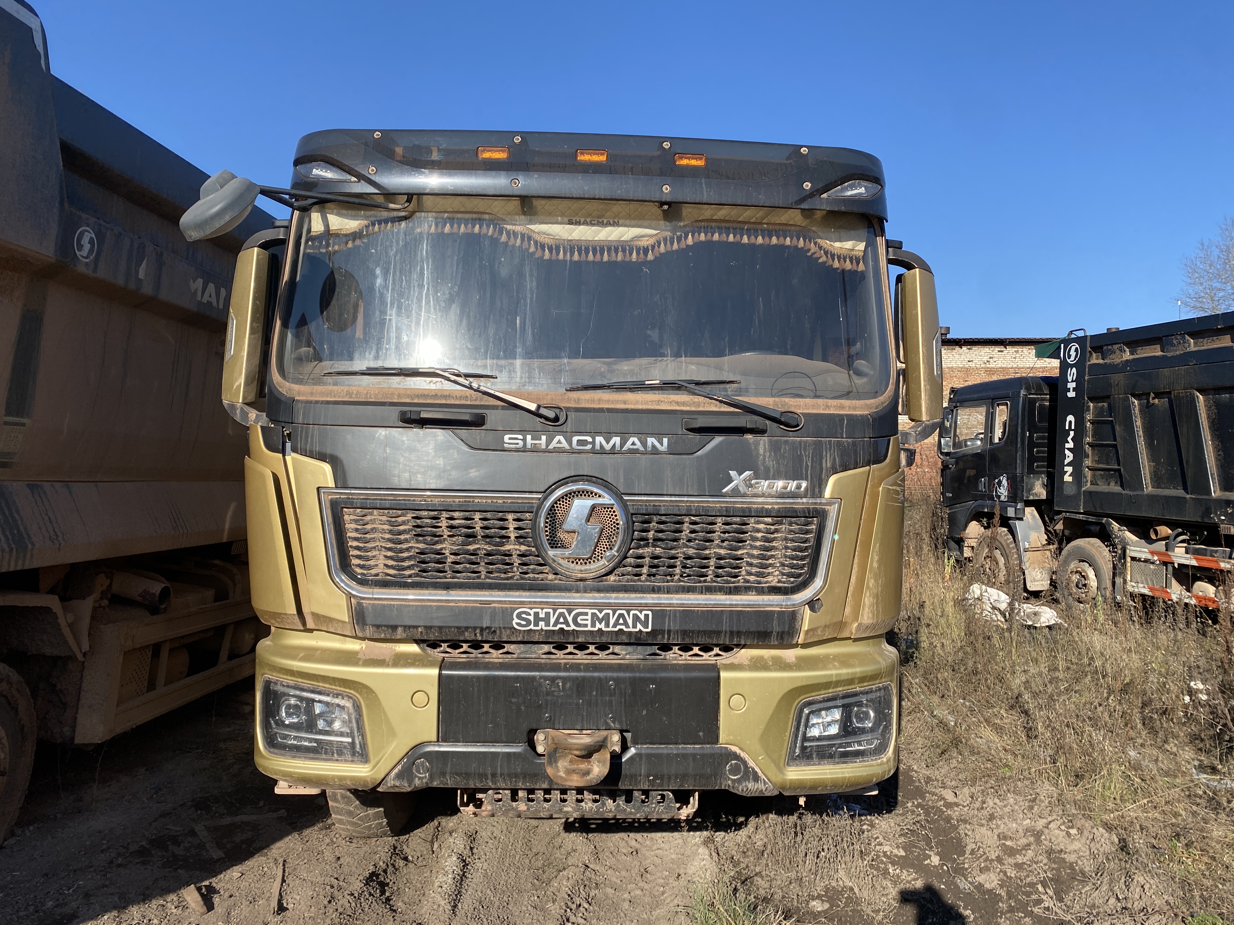 Shacman (Shaanxi) SX* 8x4 Самосвал 2024 г.