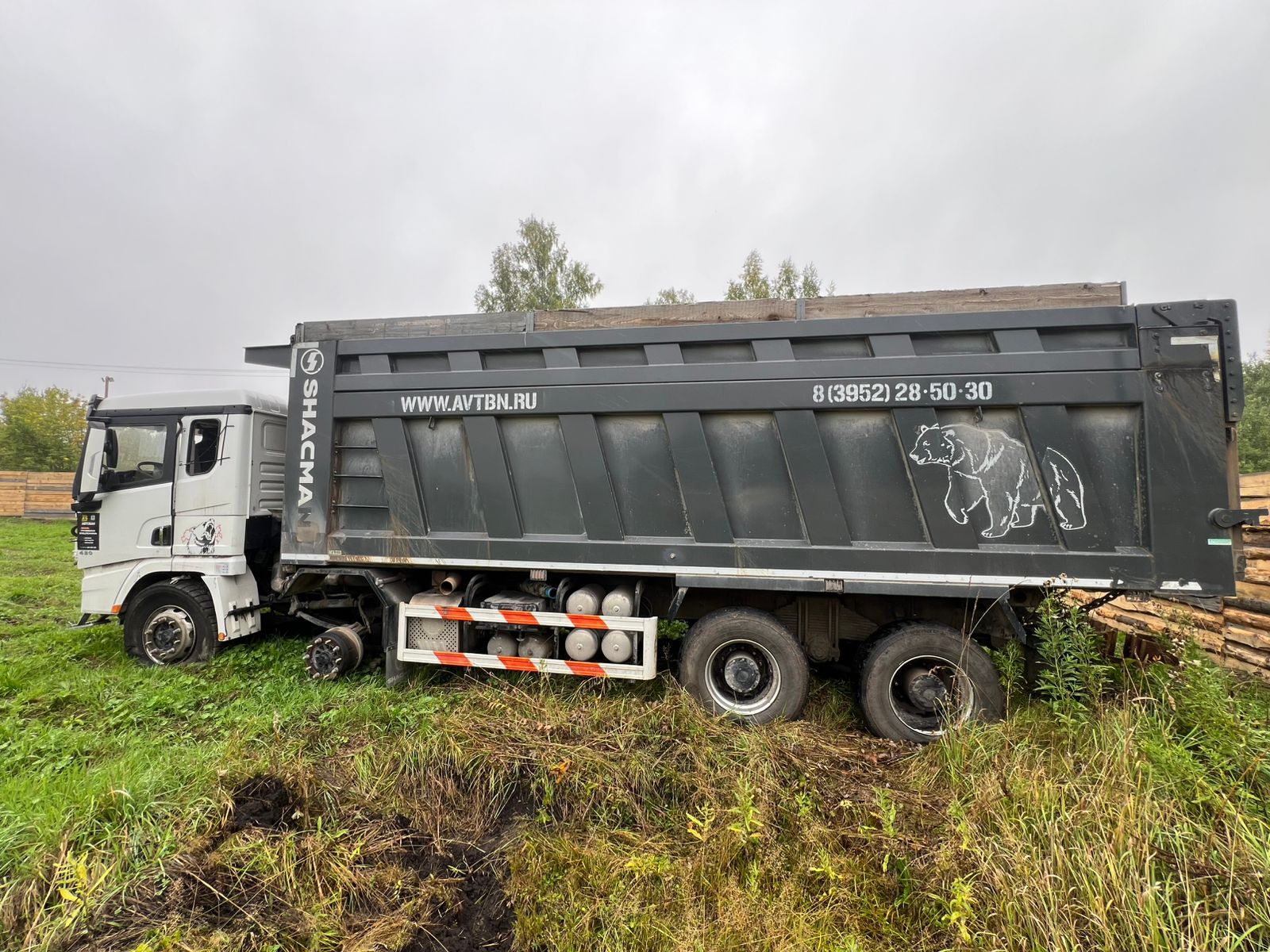 Shacman (Shaanxi) SX* 8x4 Самосвал 2024 г. - фото 4