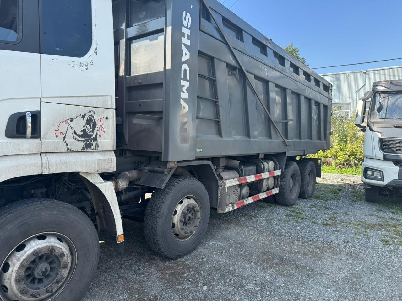 Shacman (Shaanxi) SX* 8x4 Самосвал 2024 г. - фото 4