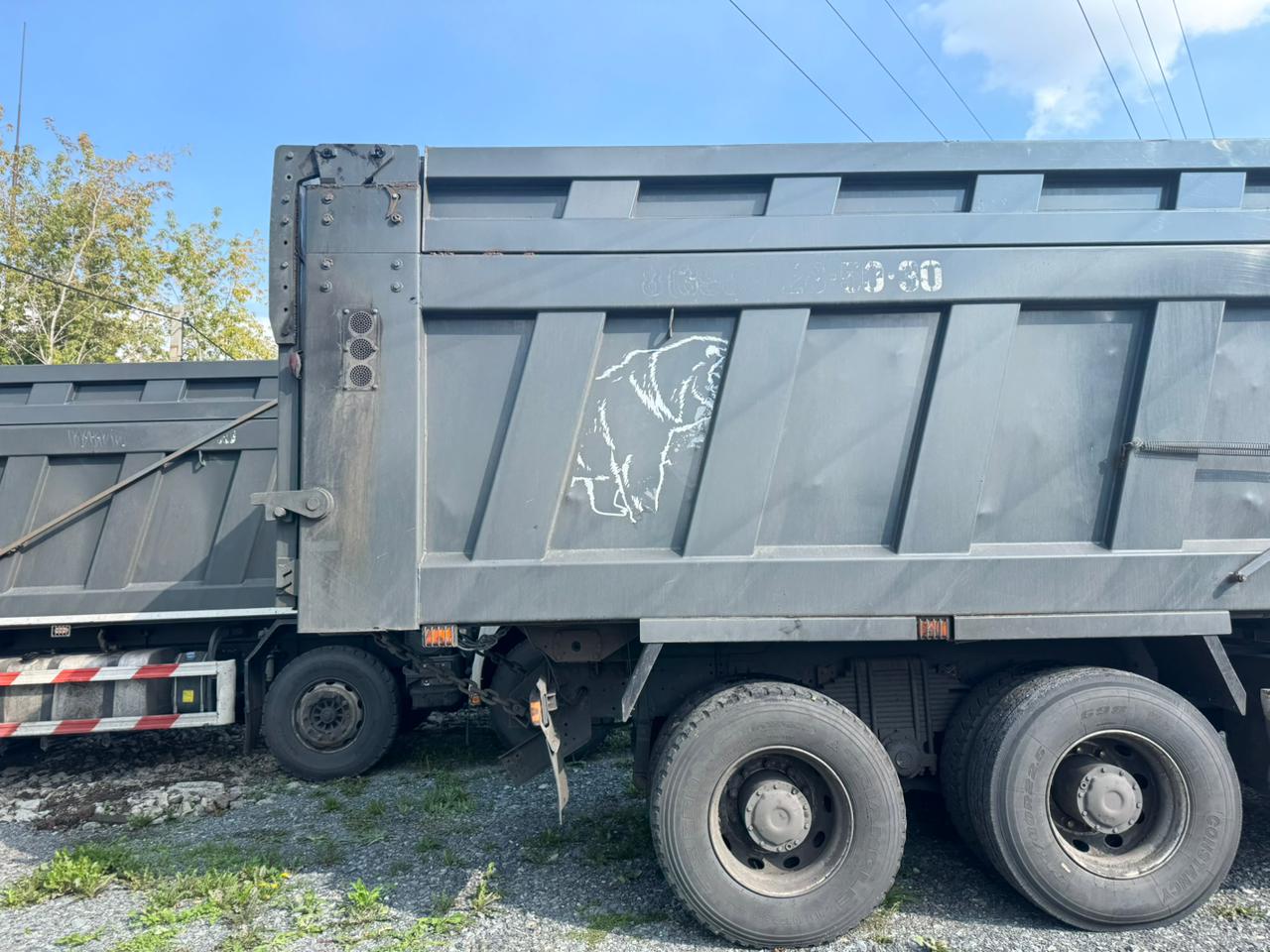 Shacman (Shaanxi) SX* 8x4 Самосвал 2024 г. - фото 12