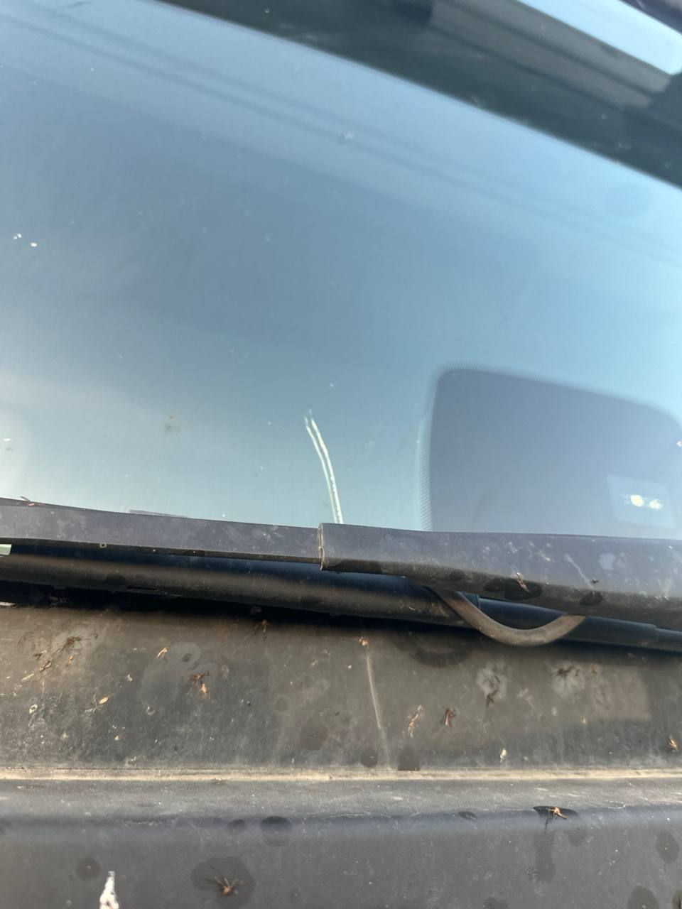 Ford F-Max 4x2 Седельный тягач 2023 г. - фото 9