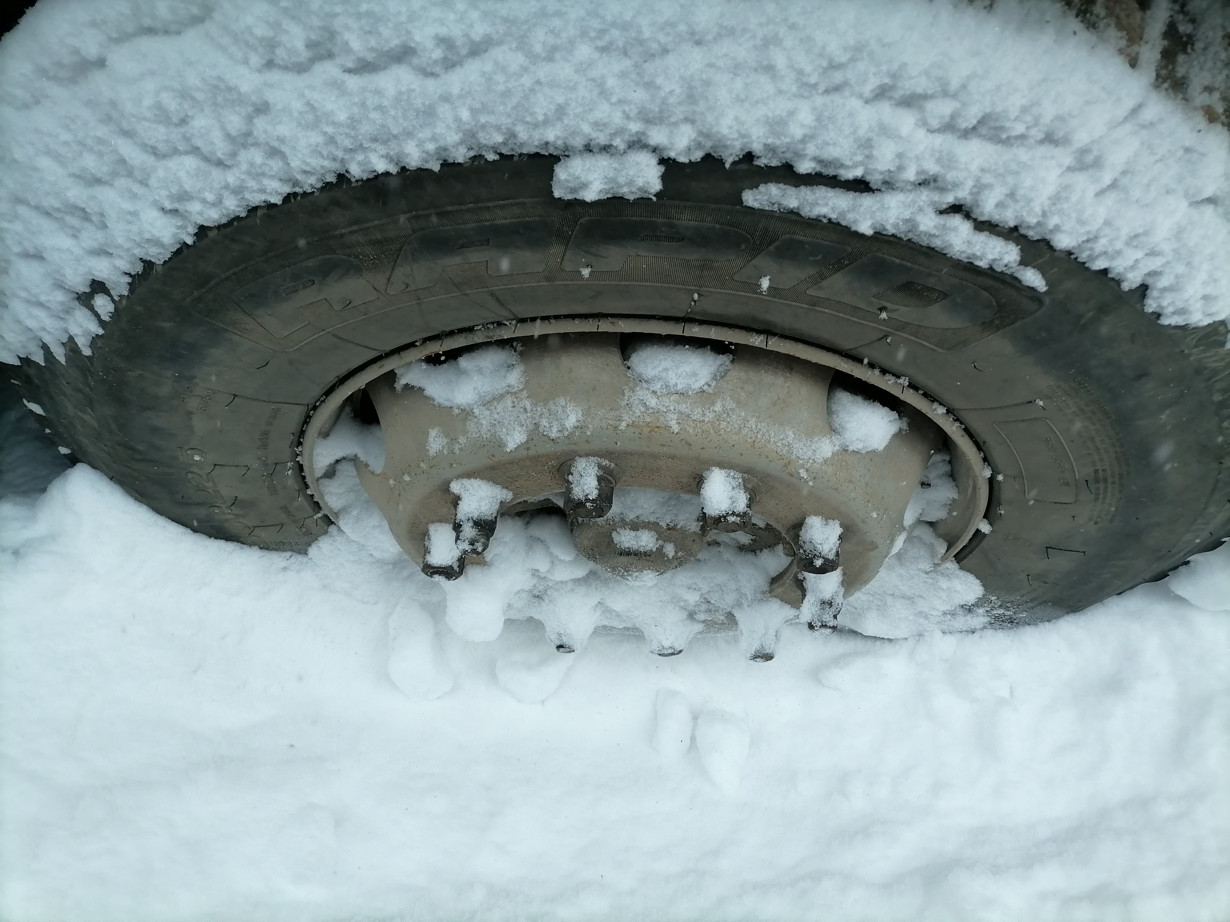 Shacman (Shaanxi) SX* 8x4 Самосвал 2024 г. - фото 7