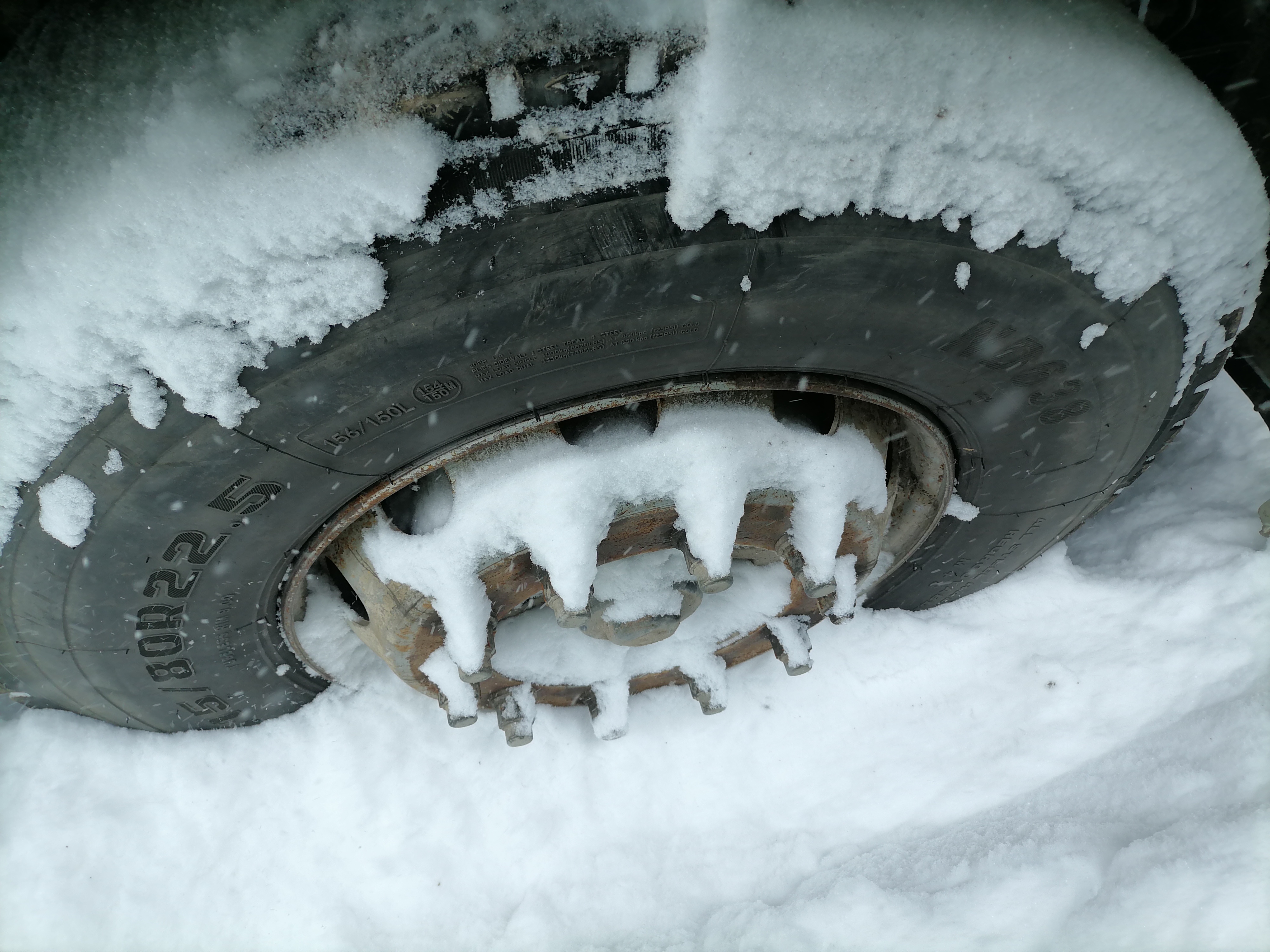 Shacman (Shaanxi) SX* 8x4 Самосвал 2024 г. - фото 9