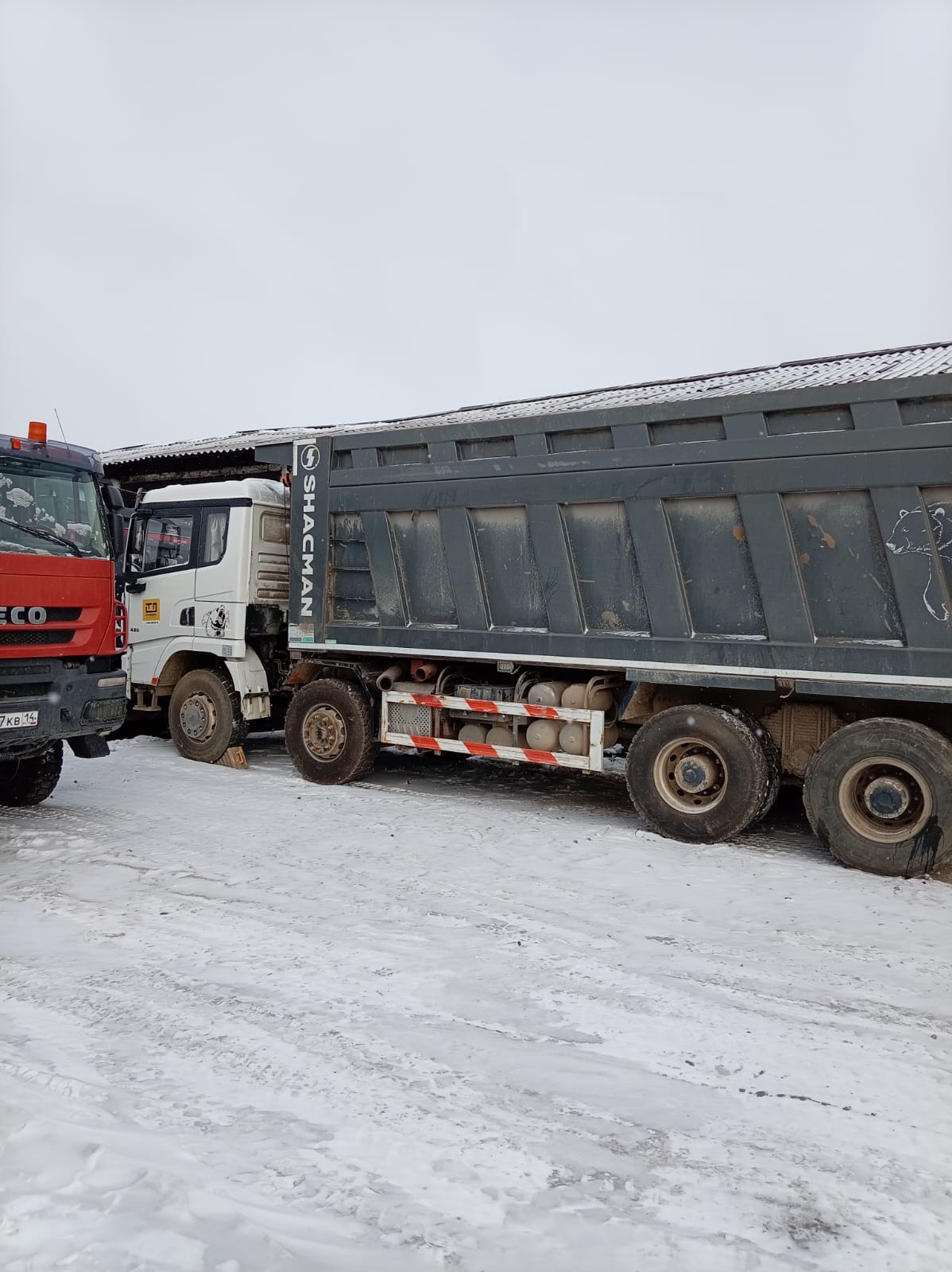 Shacman (Shaanxi) SX* 8x4 Самосвал 2023 г. - фото 5