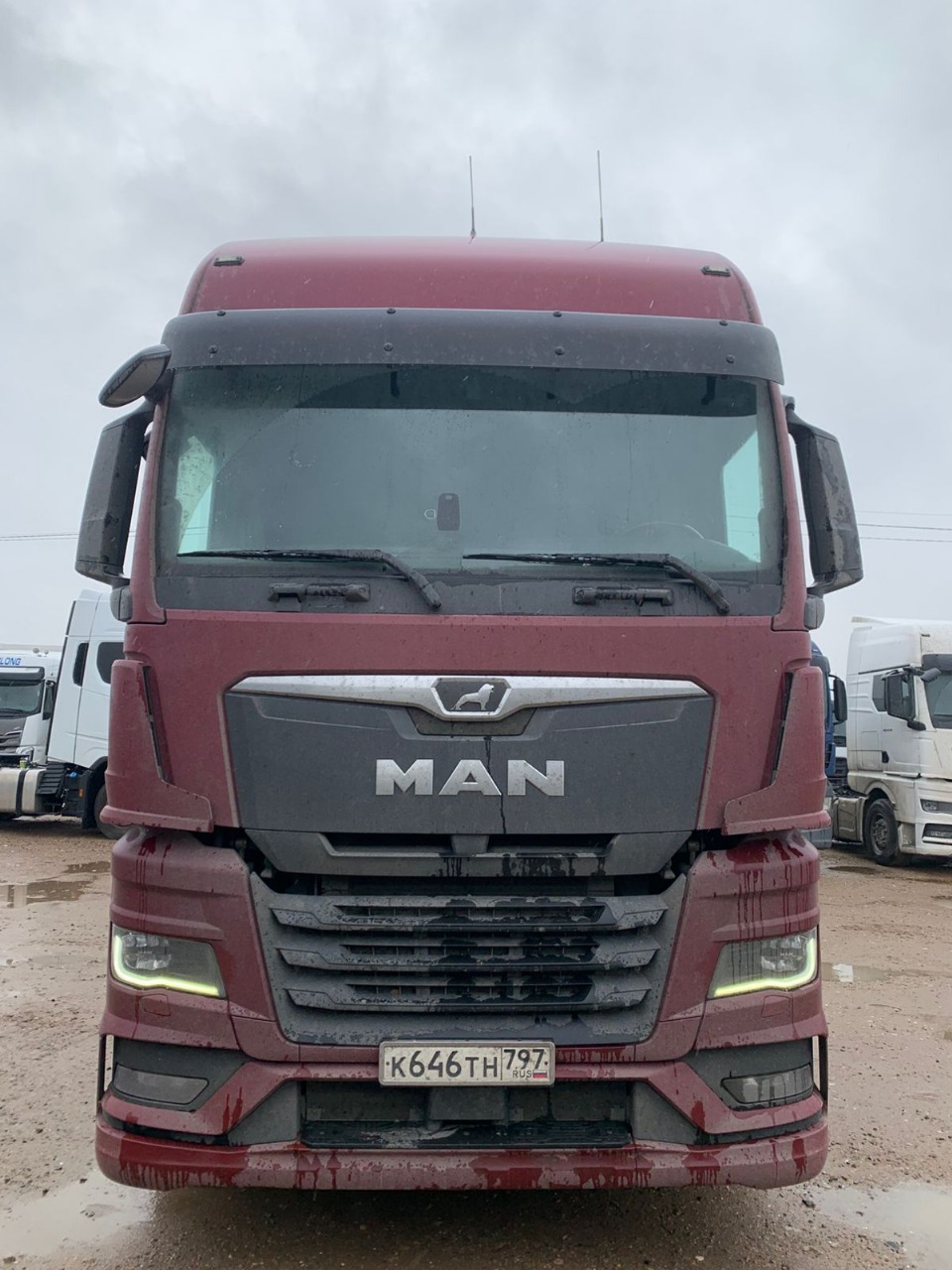 MAN TGX 4X2 Седельный тягач 2021 г.