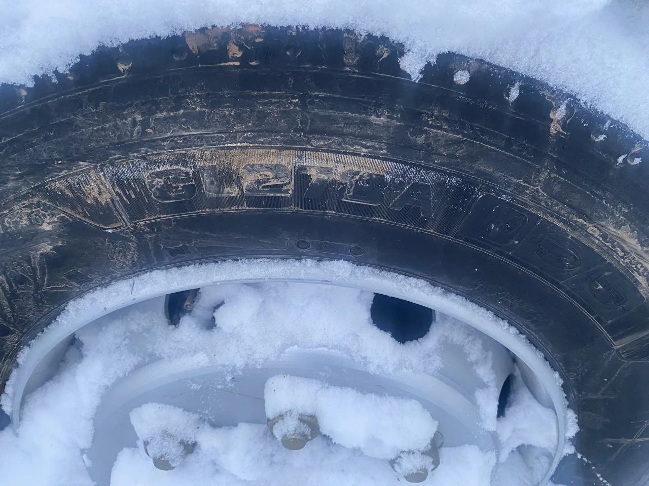 WANSHAN ALTAI Аrgut 4x2 Бортовой (Евроборт) 2024 г. - фото 9