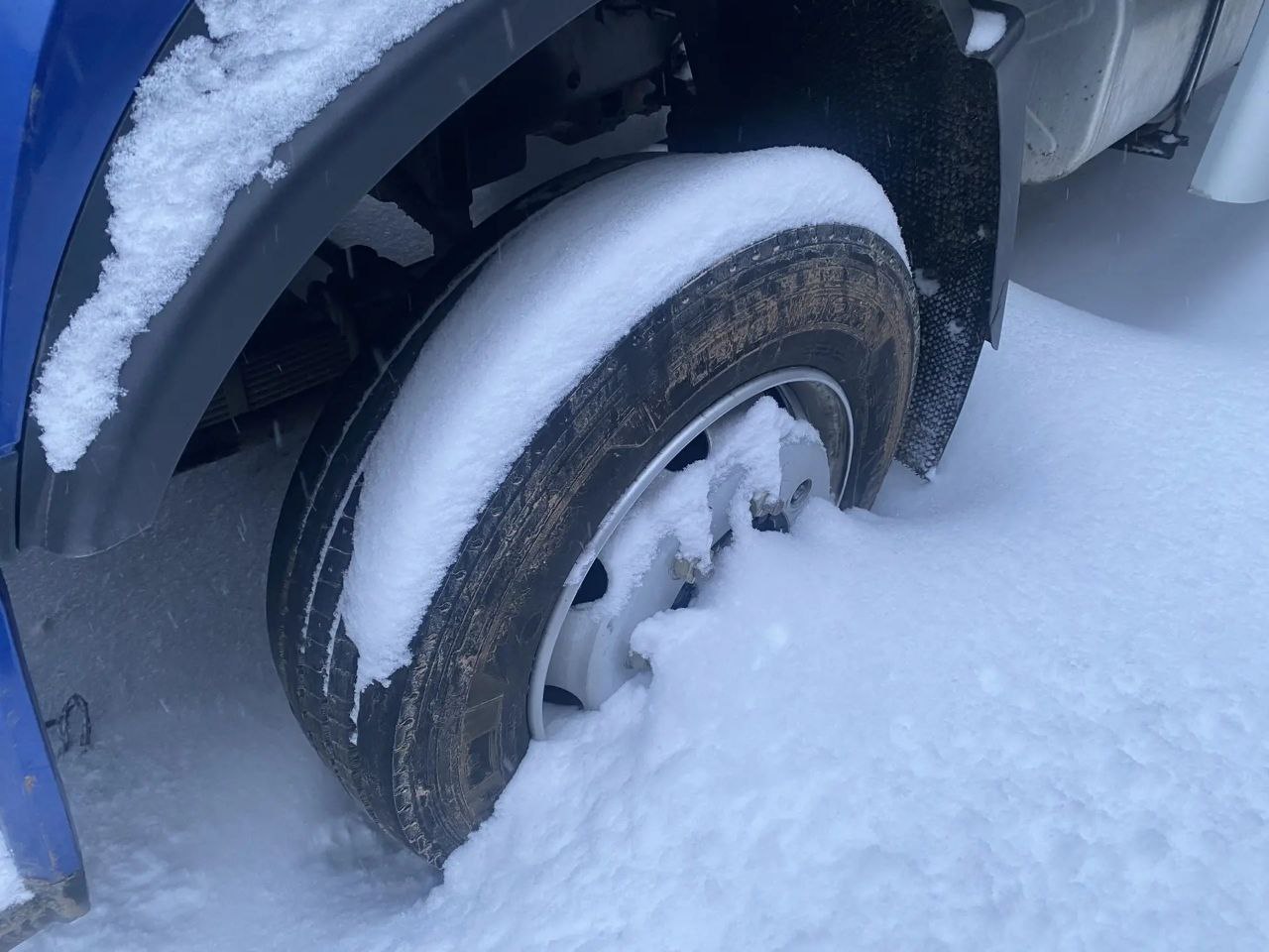 WANSHAN ALTAI Аrgut 4x2 Бортовой (Евроборт) 2024 г. - фото 11