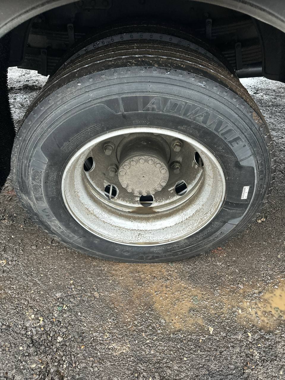 WANSHAN ALTAI Аrgut 4x2 Бортовой (Евроборт) 2024 г. - фото 13