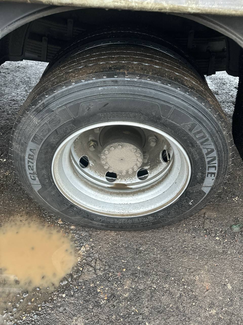 WANSHAN ALTAI Аrgut 4x2 Бортовой (Евроборт) 2024 г. - фото 15