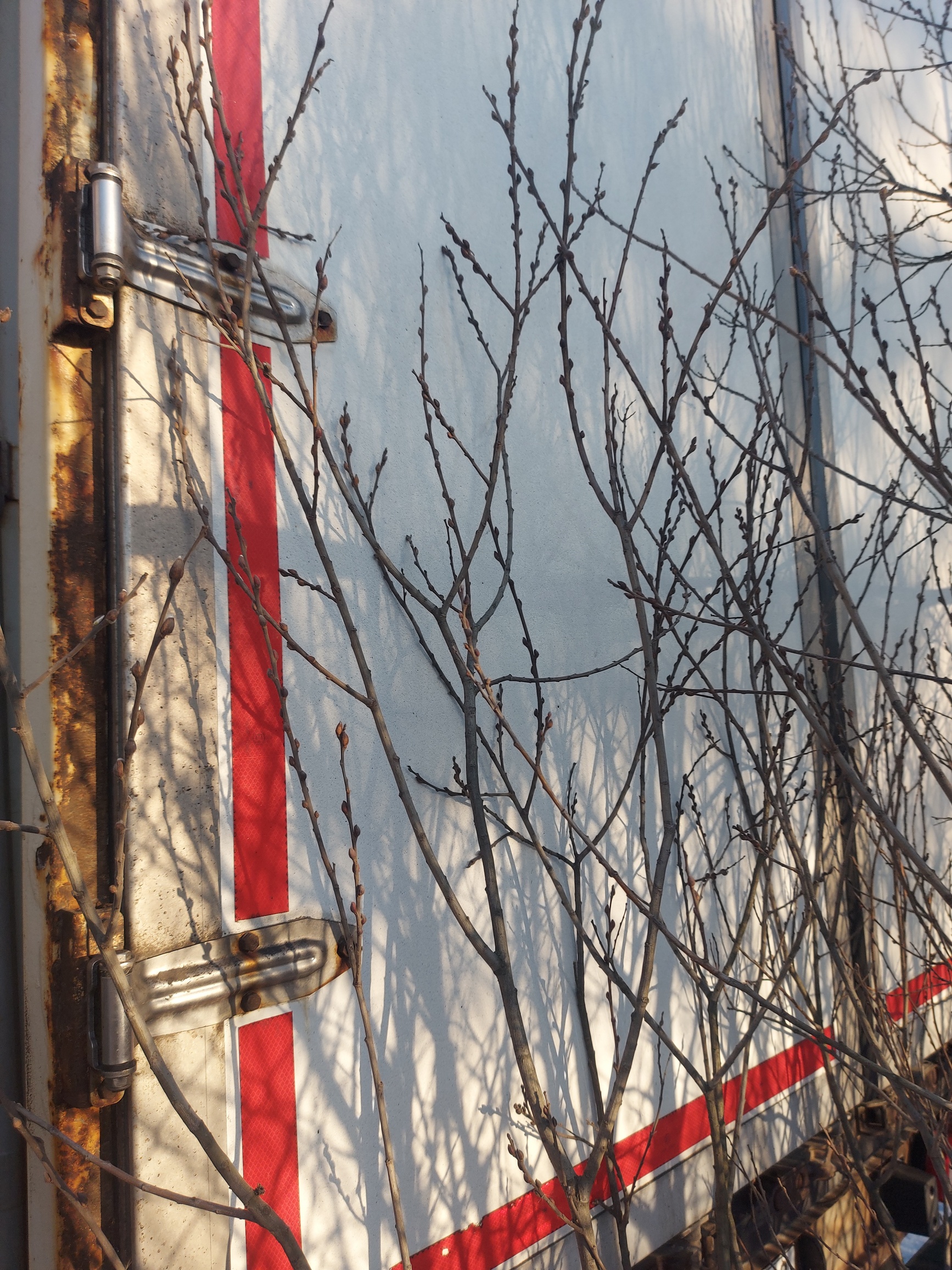 Полуприцеп ТЗА 588510 (шторный) - 13,6 м 2022 г. - фото 46