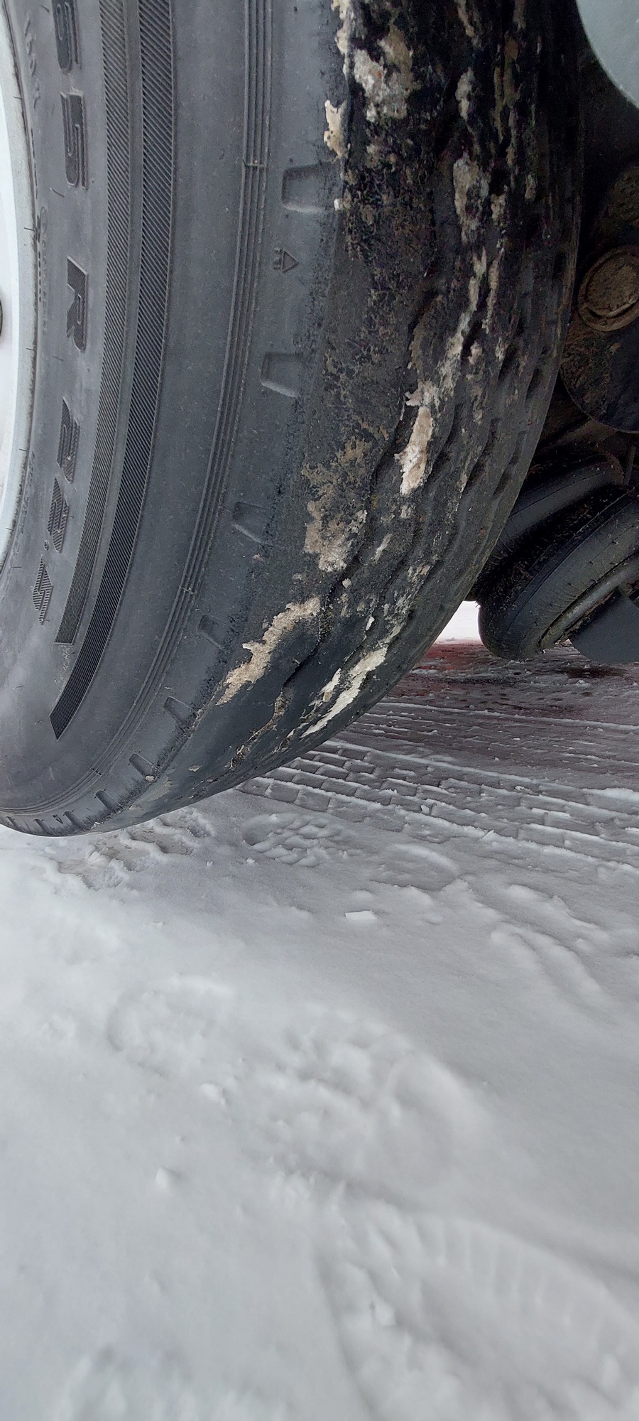 Полуприцеп ТЗА 588510 (шторный) - 13,6 м 2024 г. - фото 11